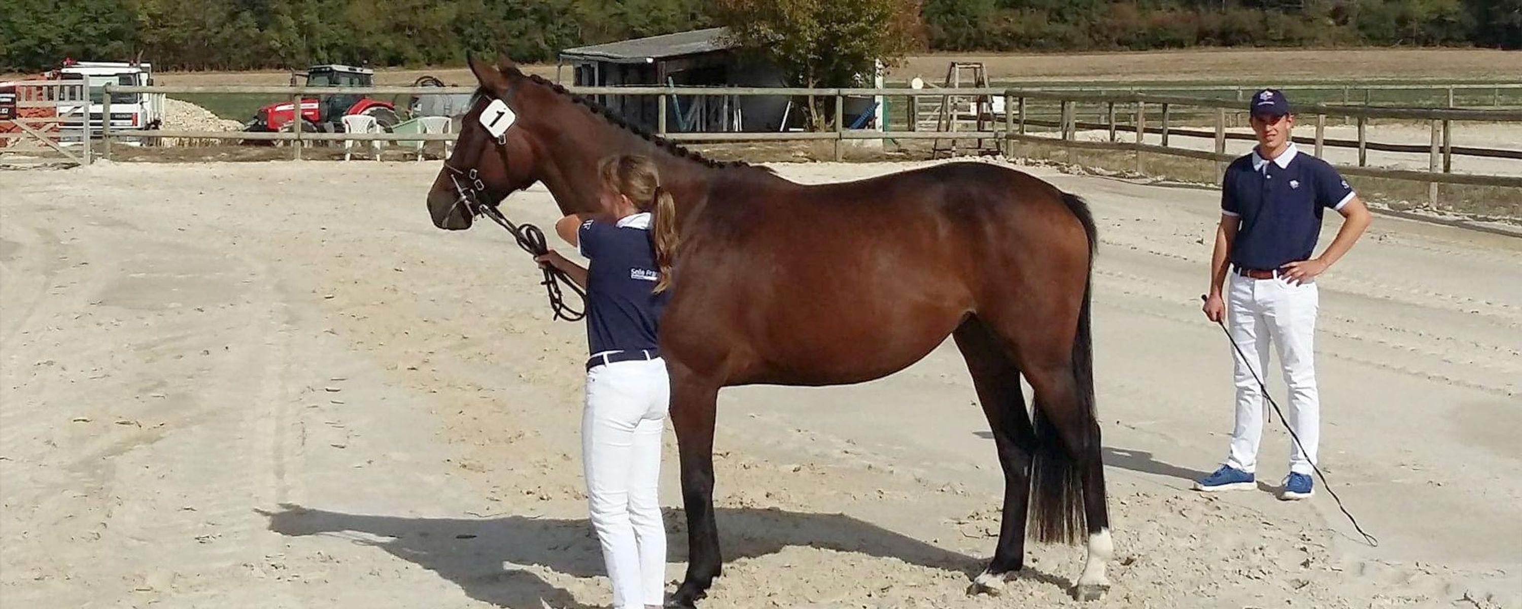 ECURIE DU DESIR