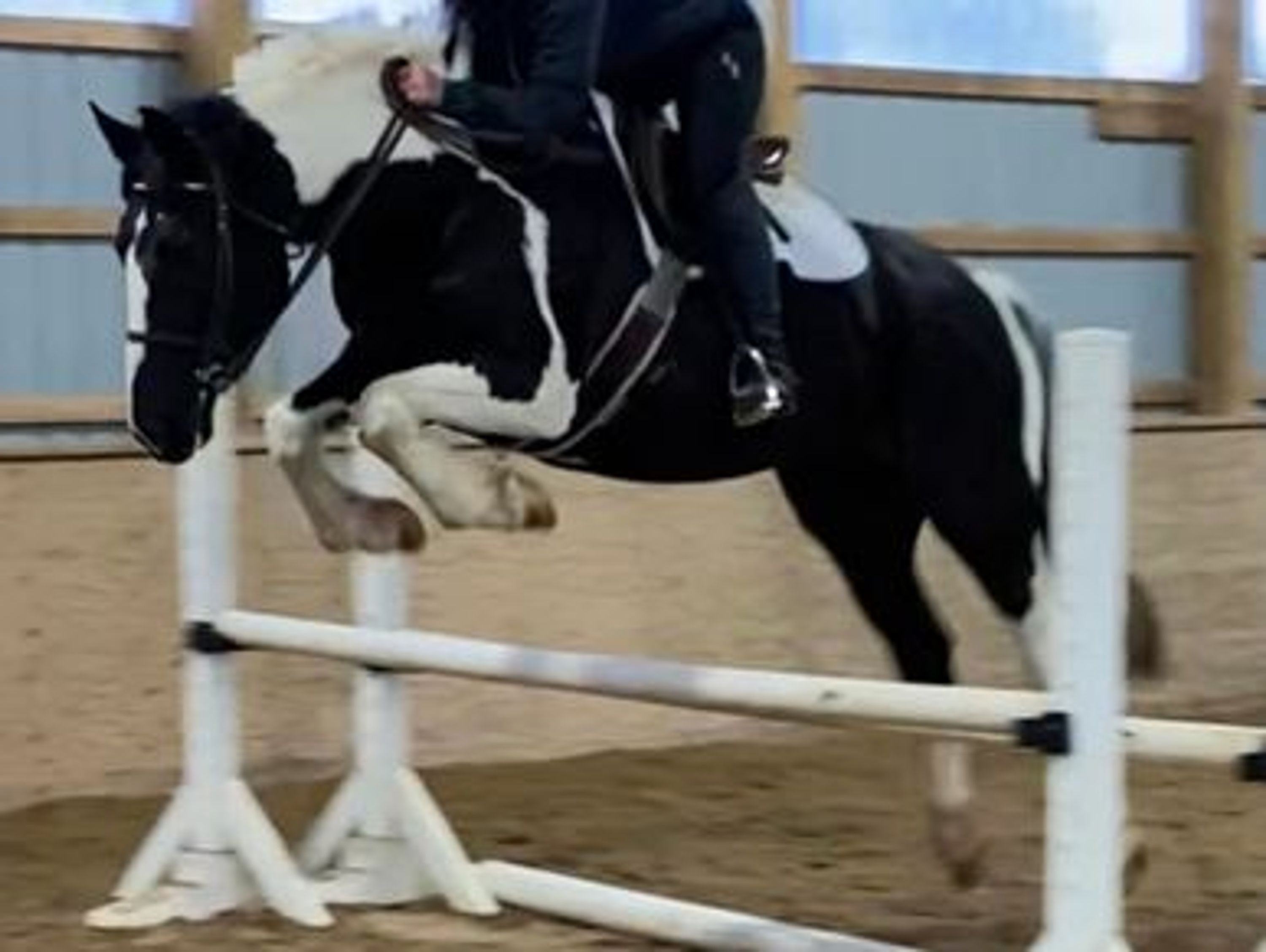 BR Equestrian Summer Day Camps and PA Day Camps