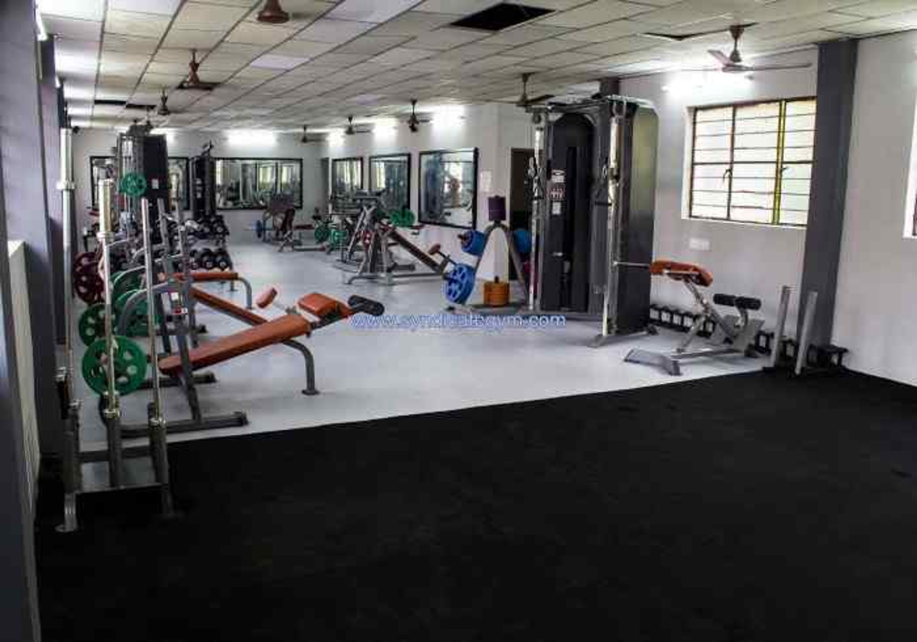 Syndicate Gym | Gym equipment manufacturer