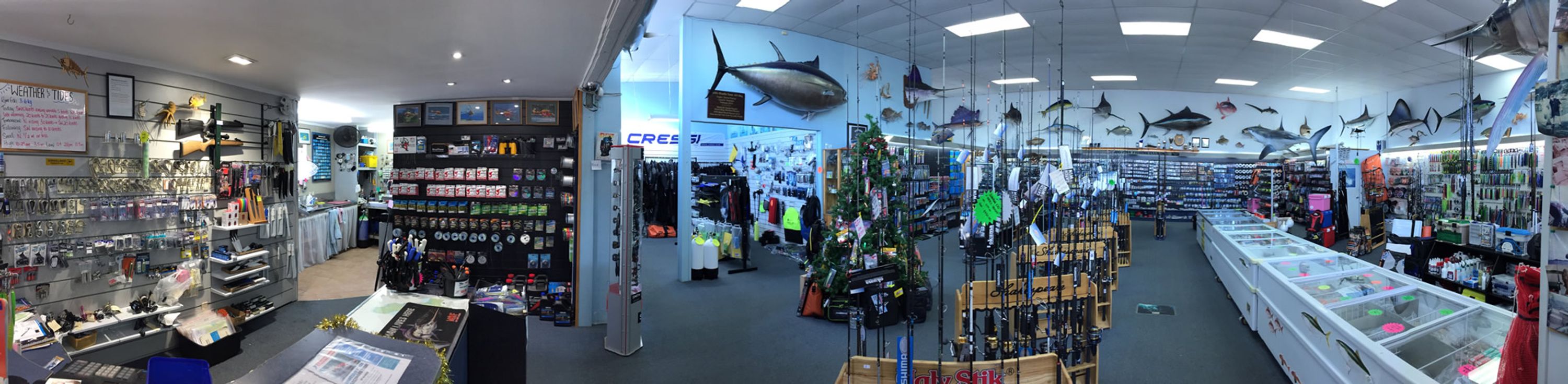 The Big Fish Bait & Tackle Co