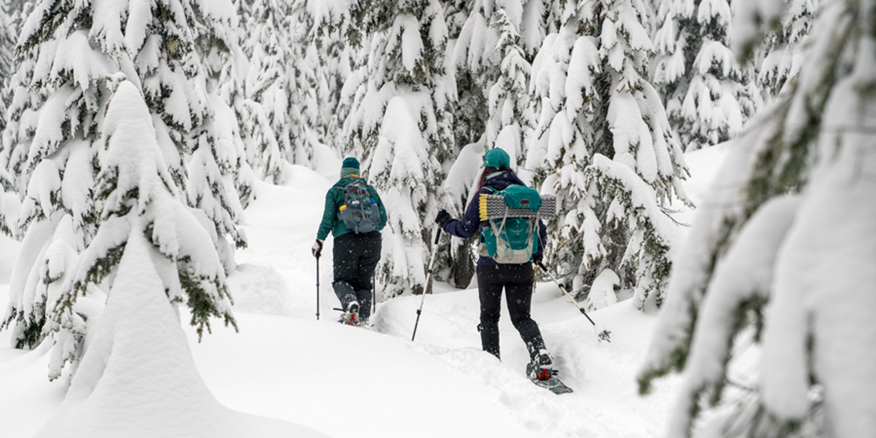 Pasadena Ski & Nature Park