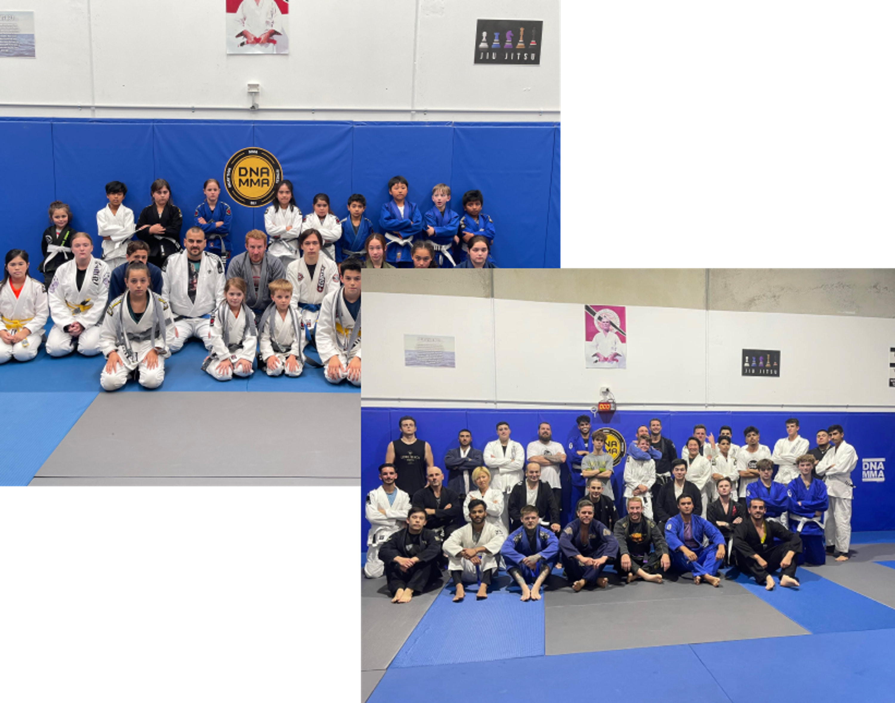 DNA MMA