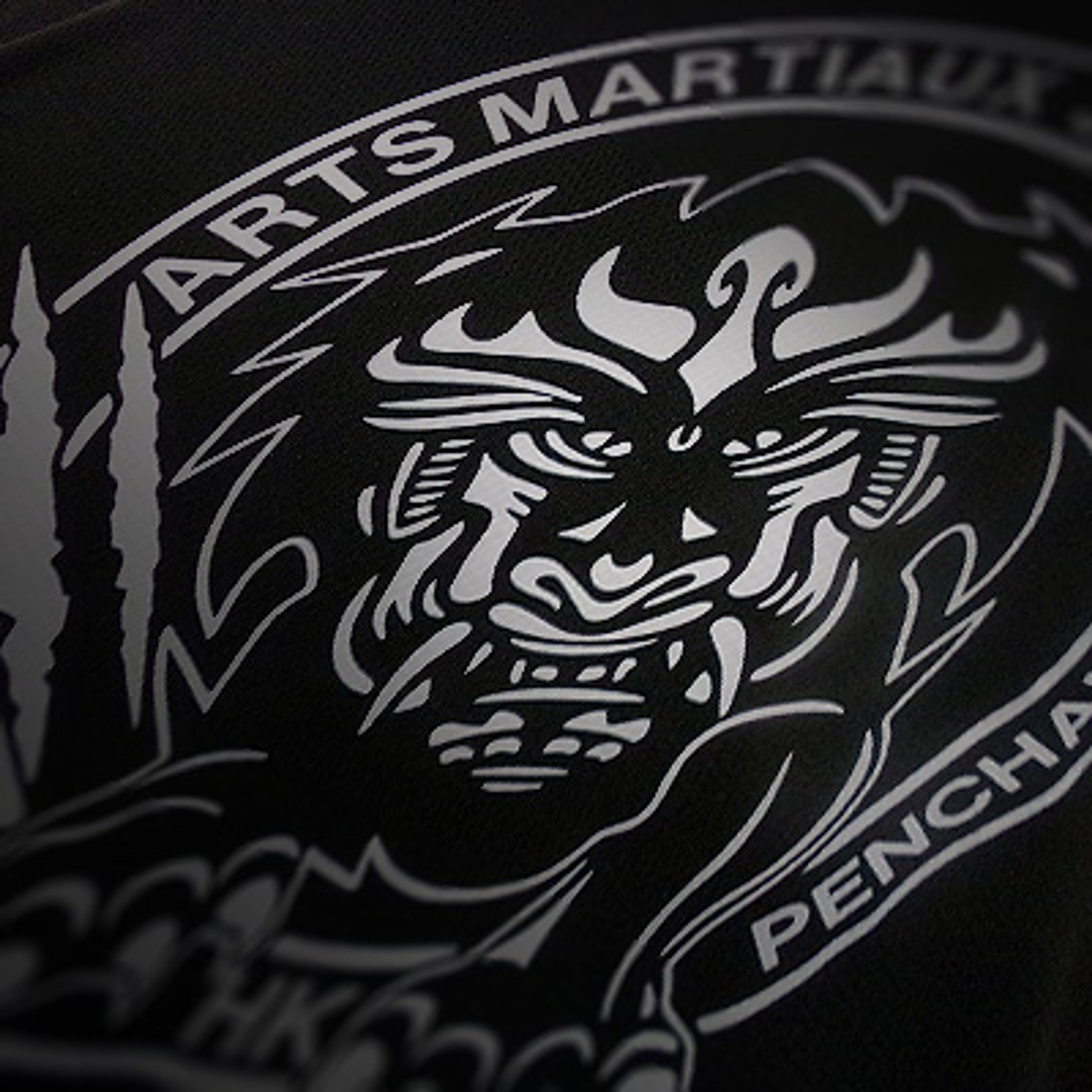 Les Arts Martiaux Sury 42