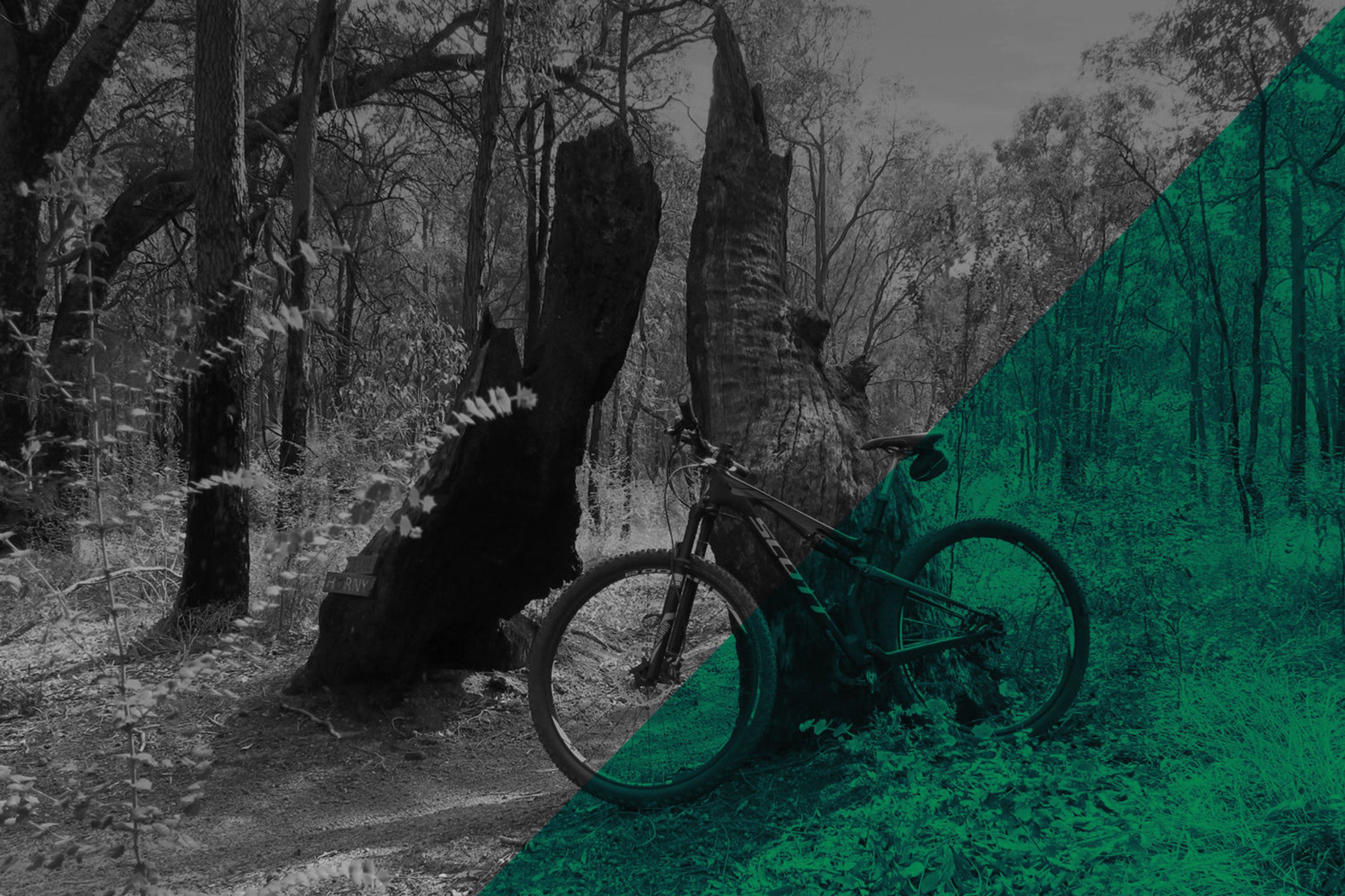 Kalamunda Mountain Bike Park