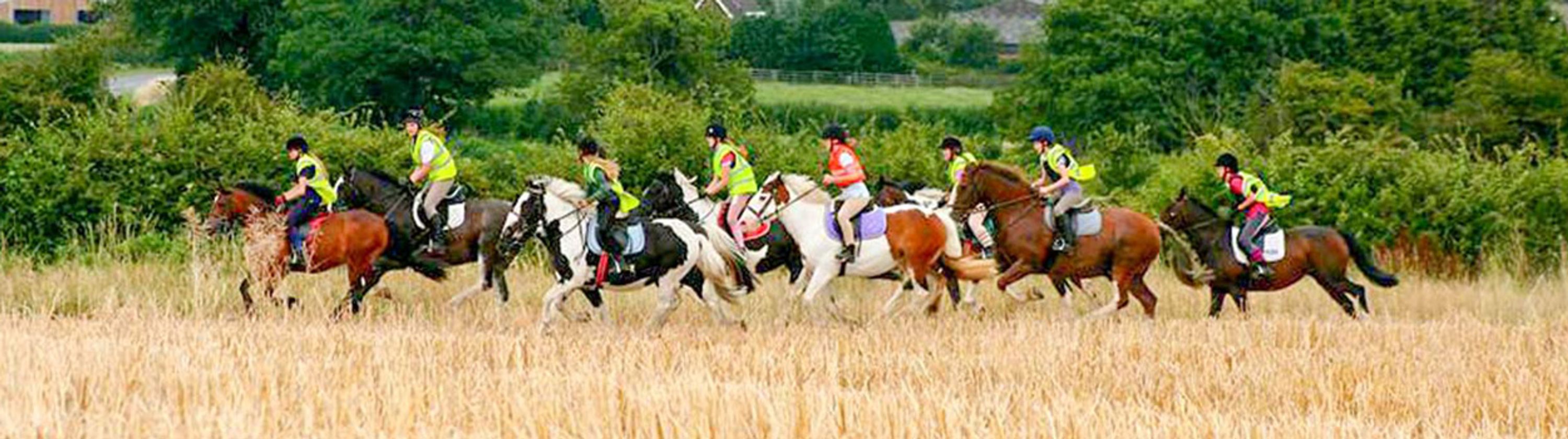 Pony Camp