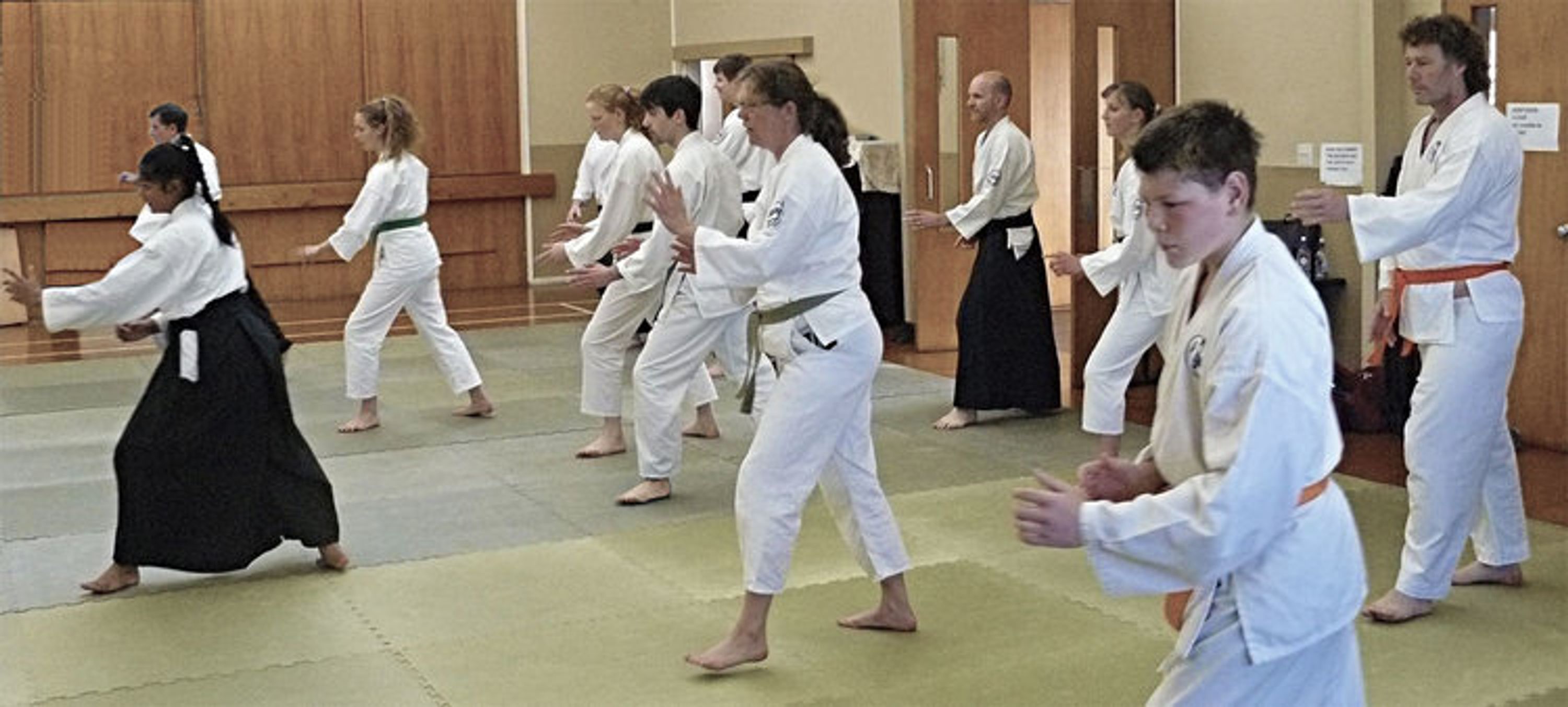 Warkworth Aikido (Kyu Shin Do) Classes