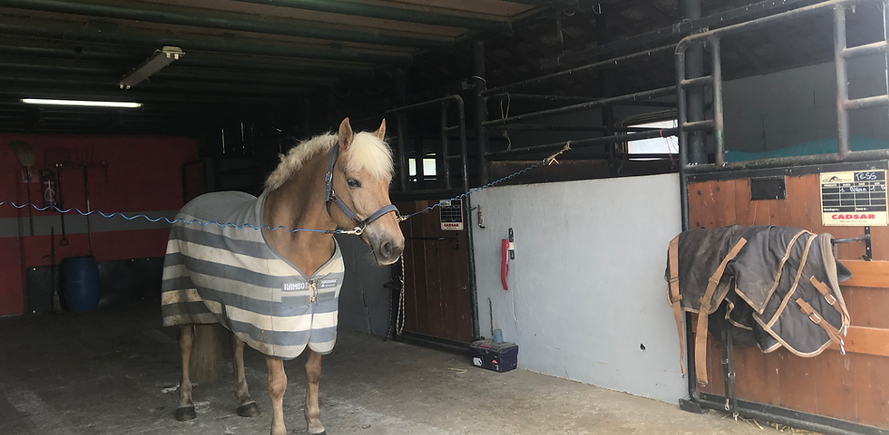 Pony Club De La Renaissance