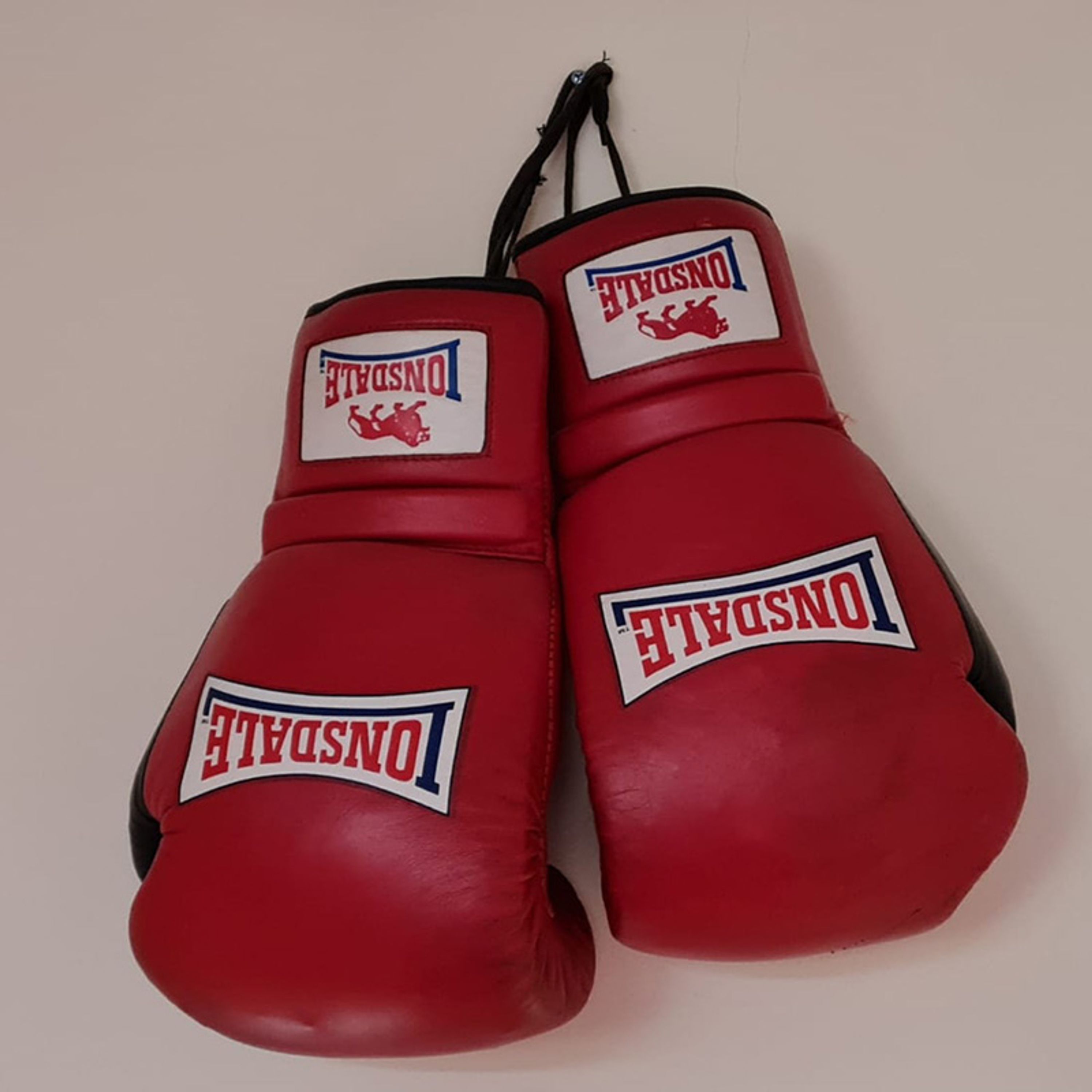 Redhill Amateur Boxing Club