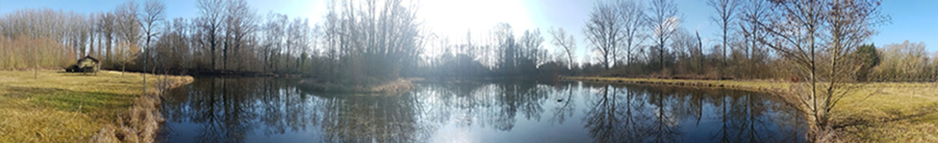 Carpodrome - Les Amis du Marais