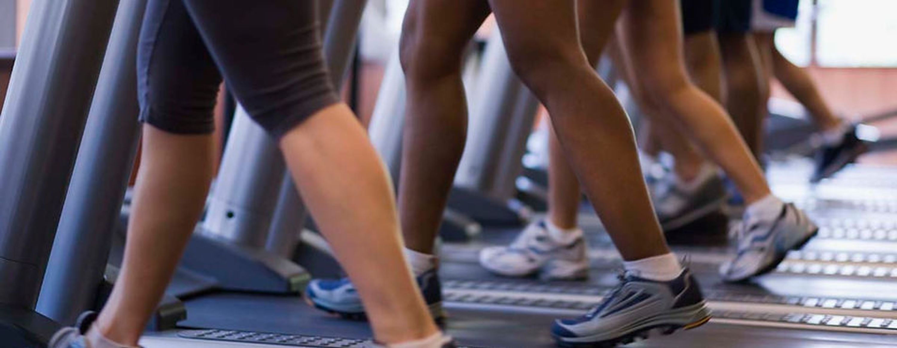 The Fitness Asylum Sweat Box