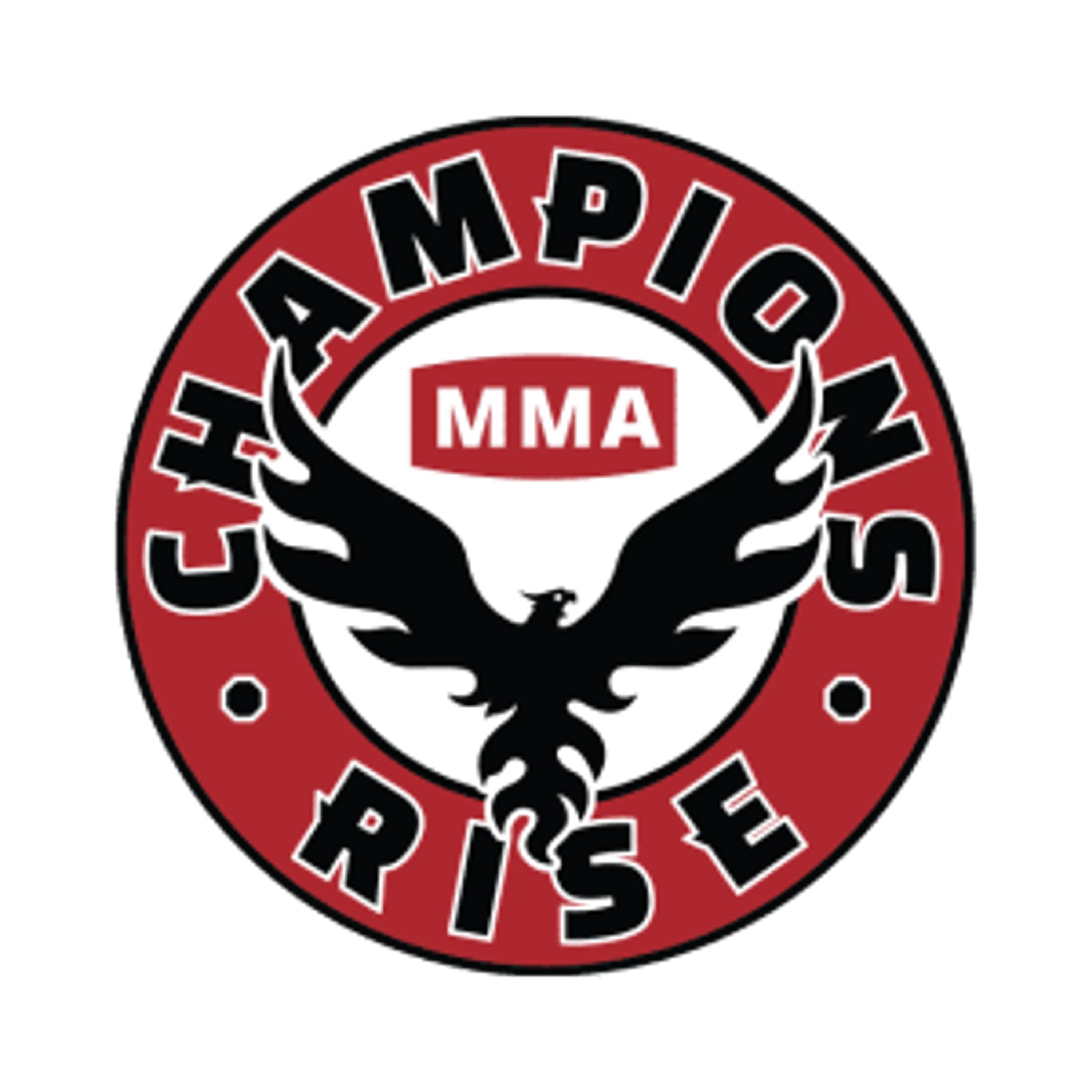 21-Week MMA Training Camp