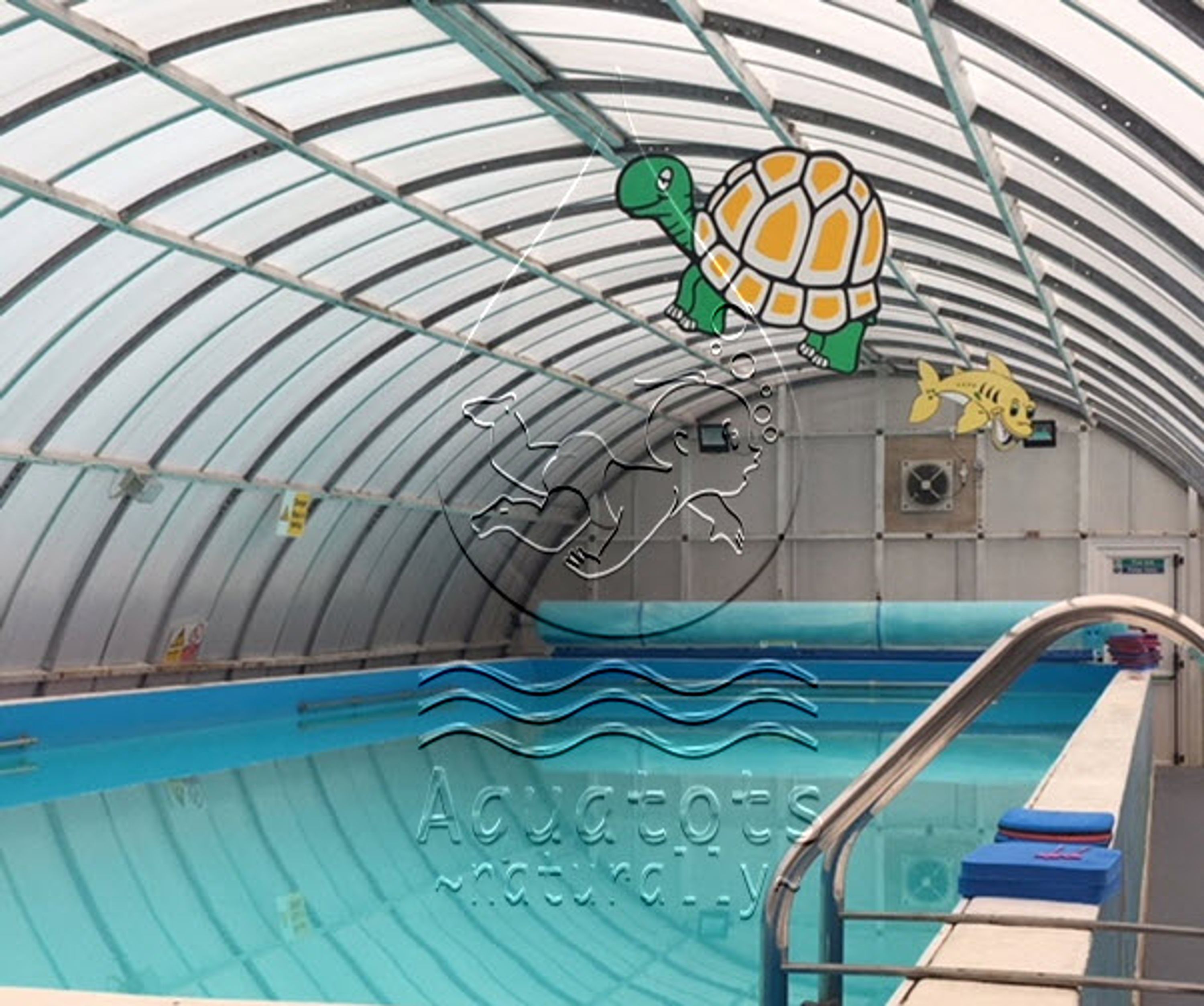 Aquatots Swimming Program
