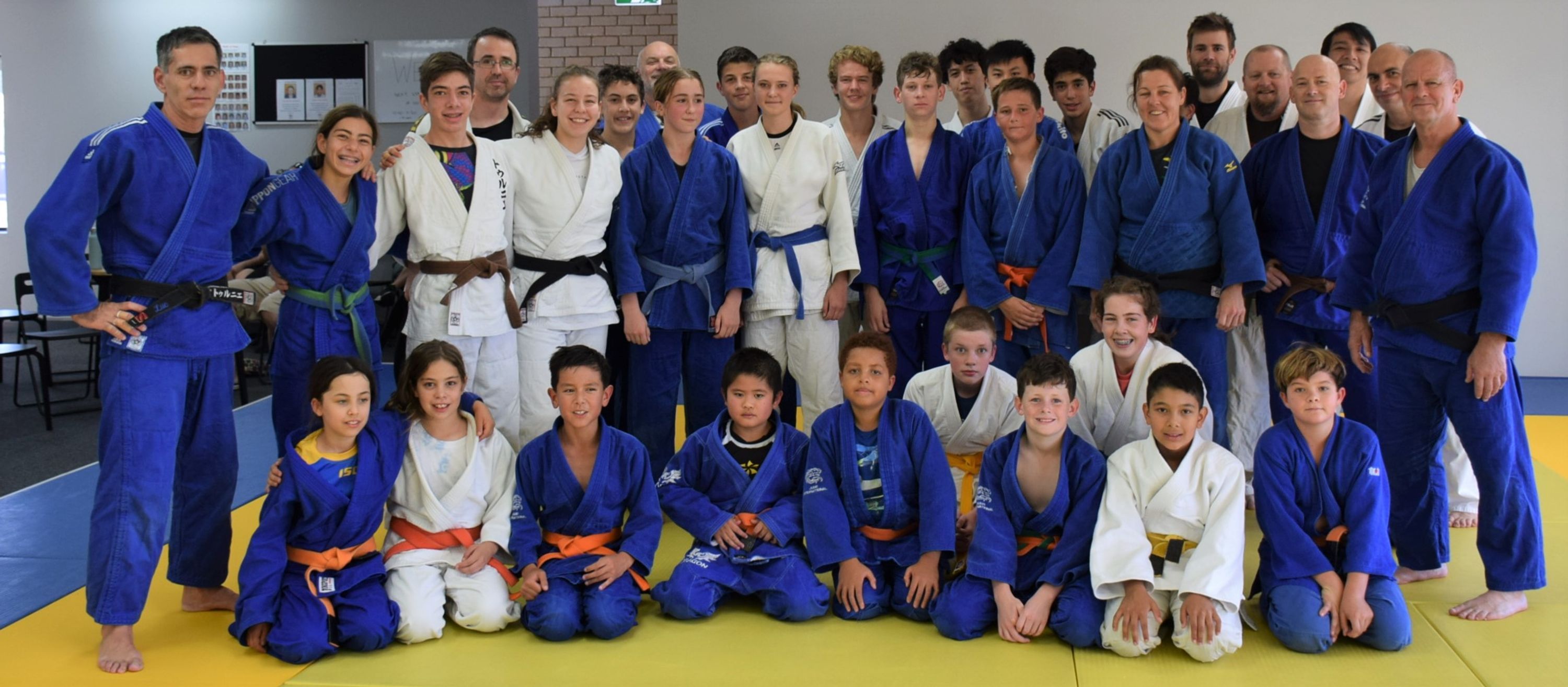Judo International