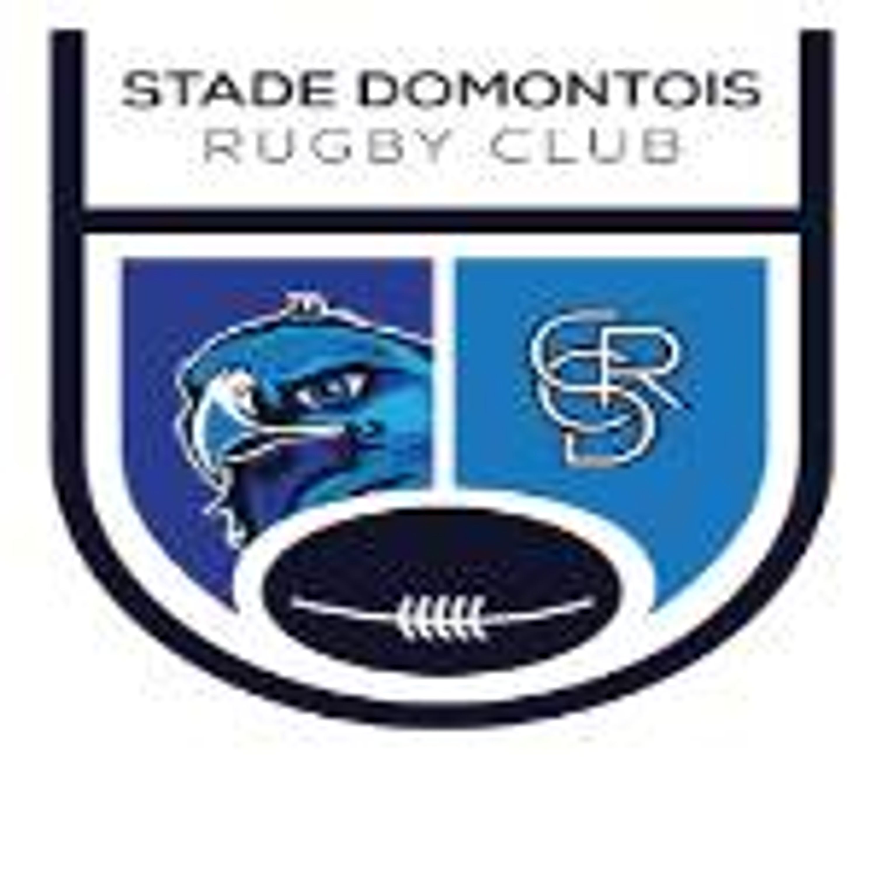 CODEP RUGBY VAL D'OISE