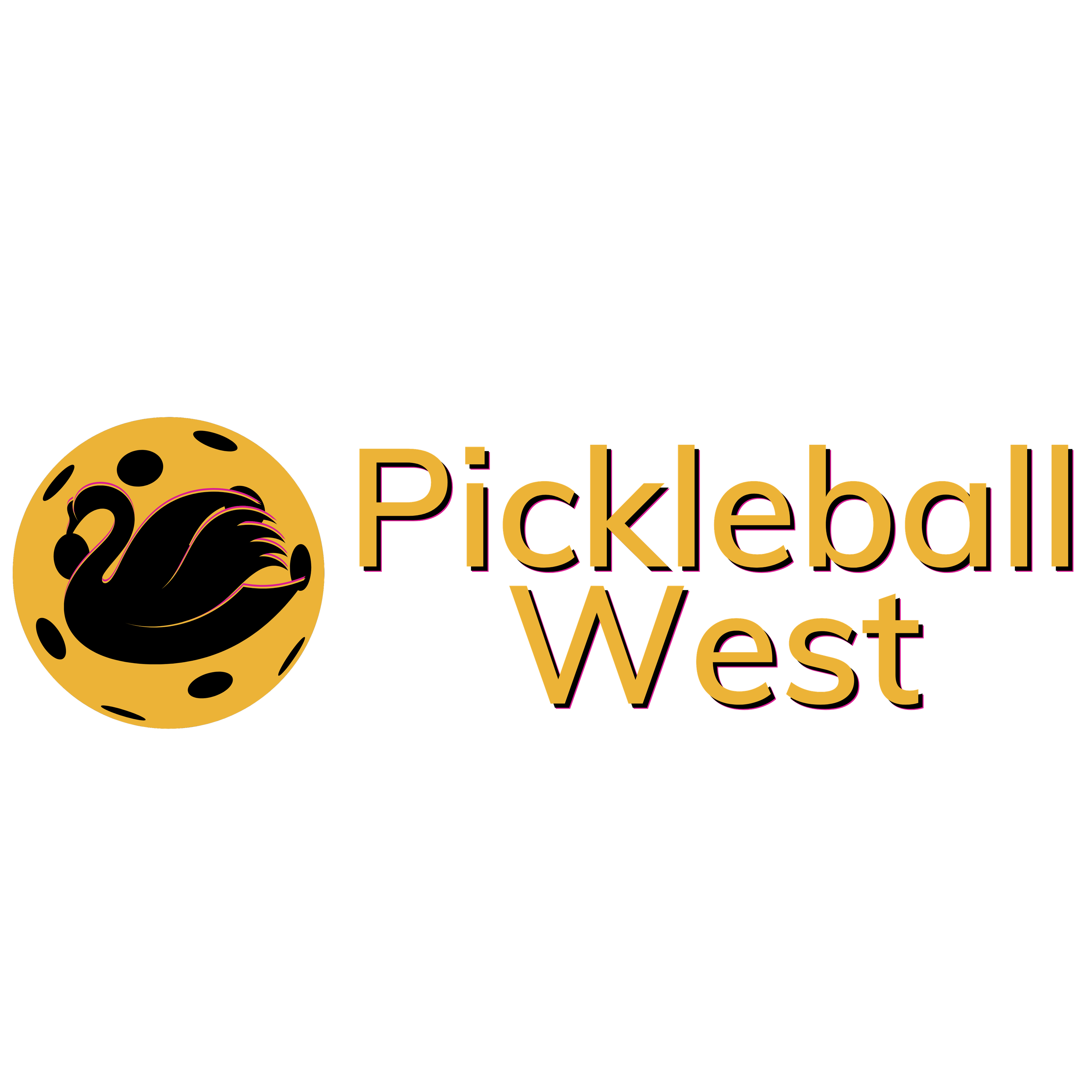 Pickleball West Doubles Tournament