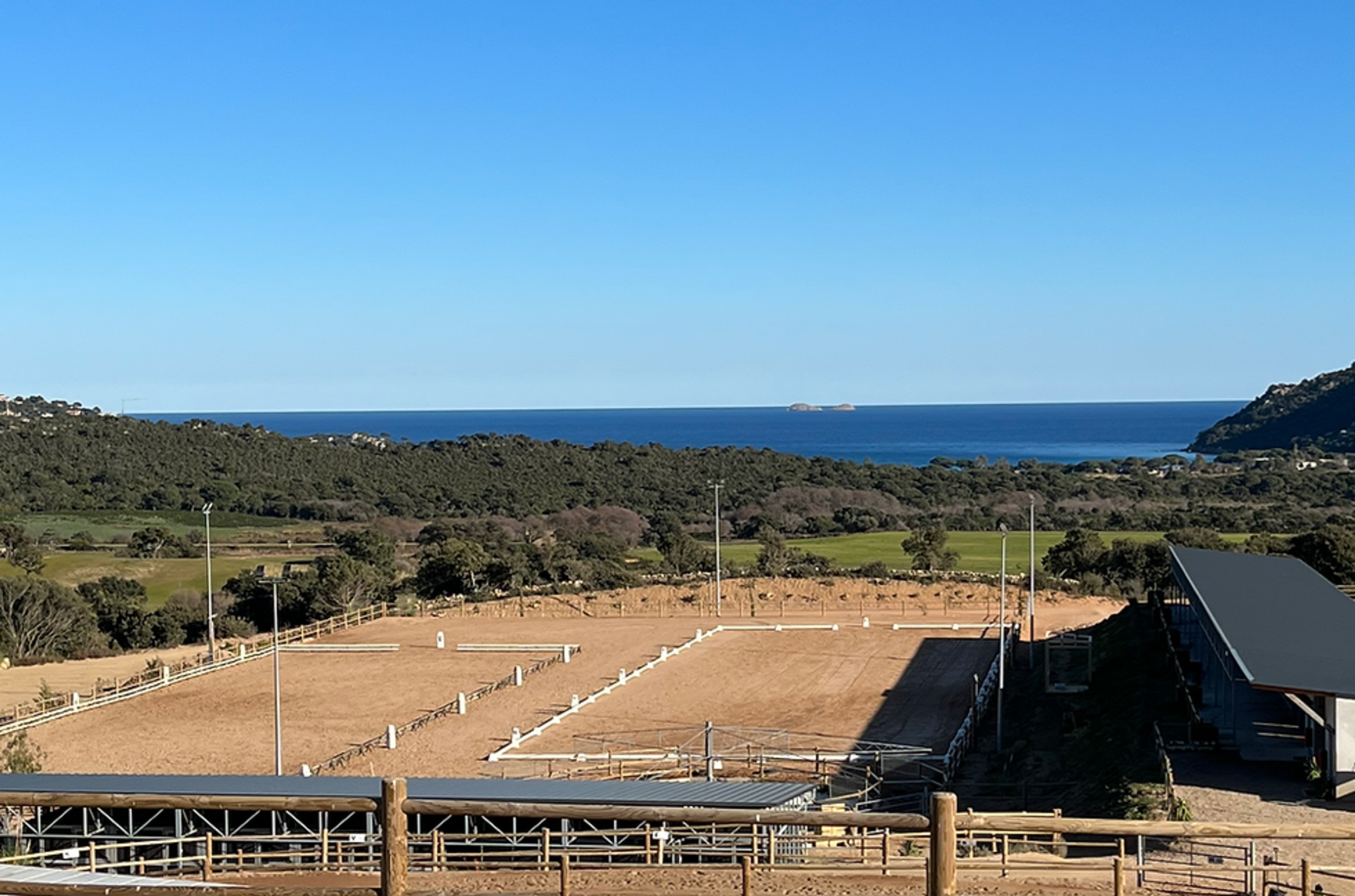Equicomplice A Staffa