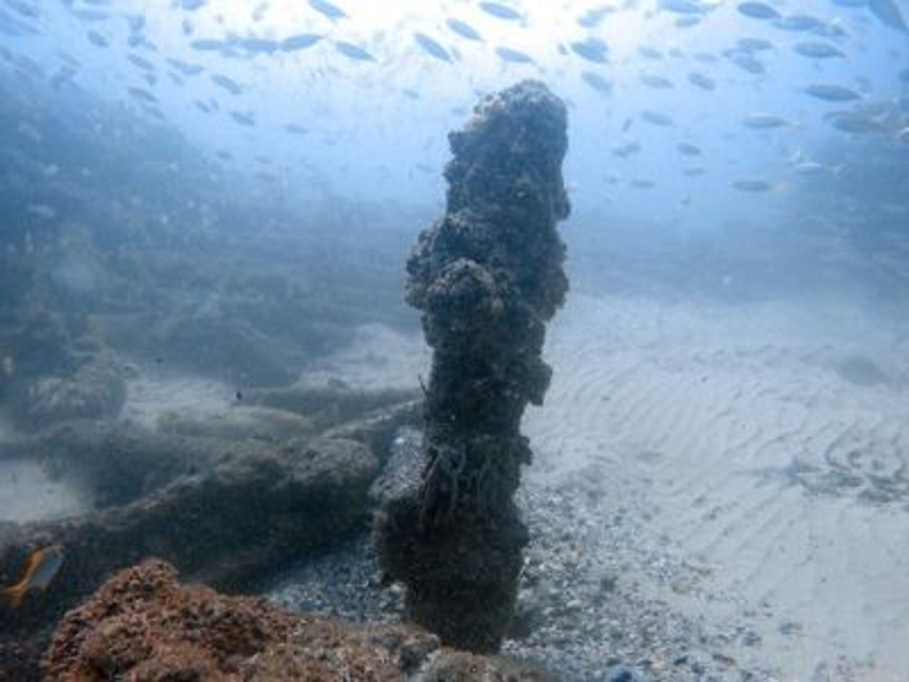Dive Gold Coast Wreck Dive - The Scottish Prince