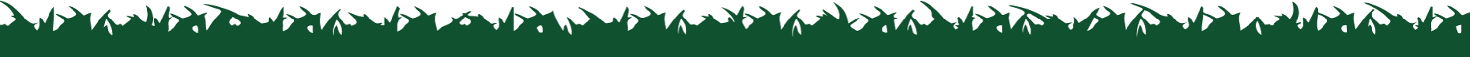 Dinosaur World Adventure Golf