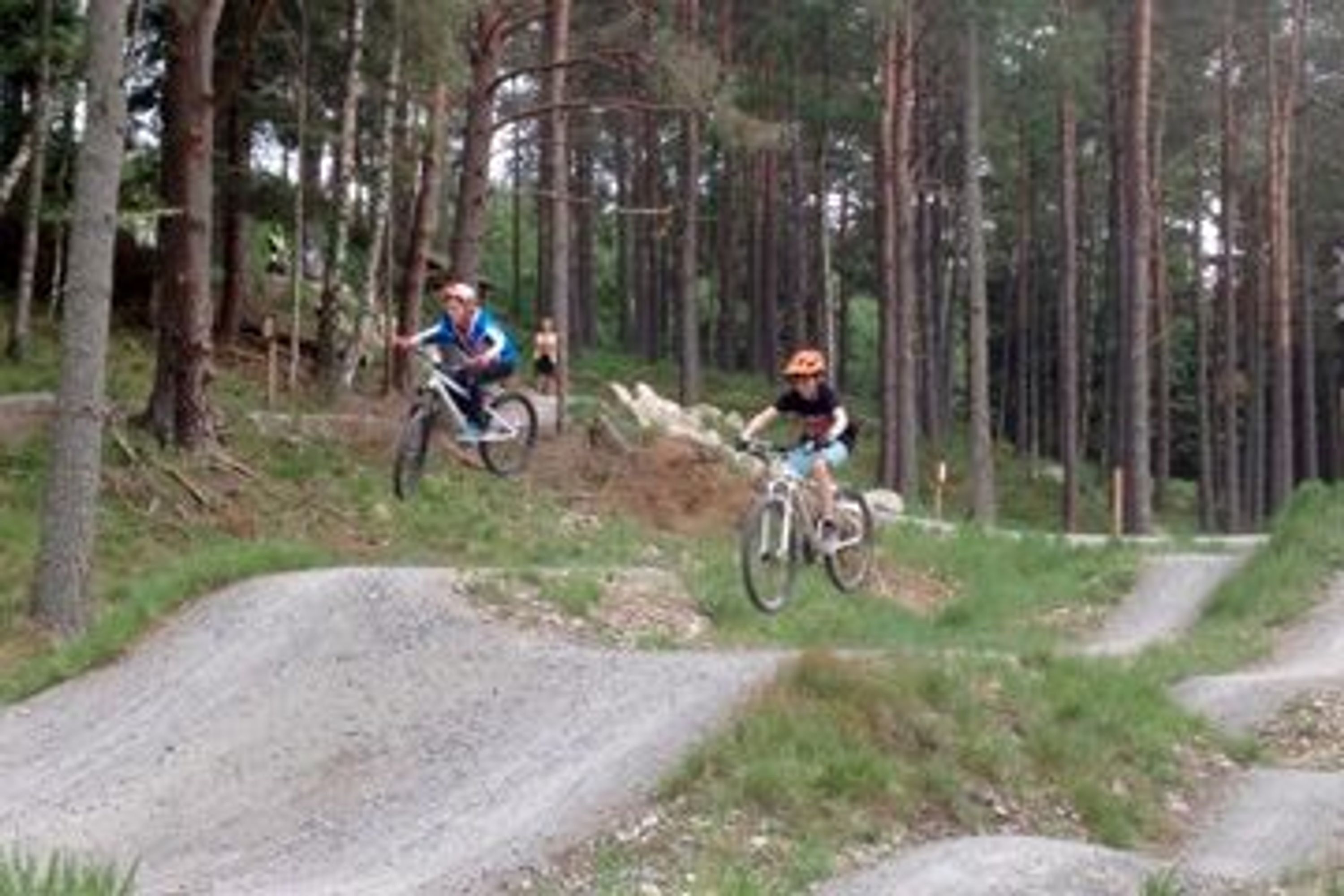 Alyth Mountain Bike Park