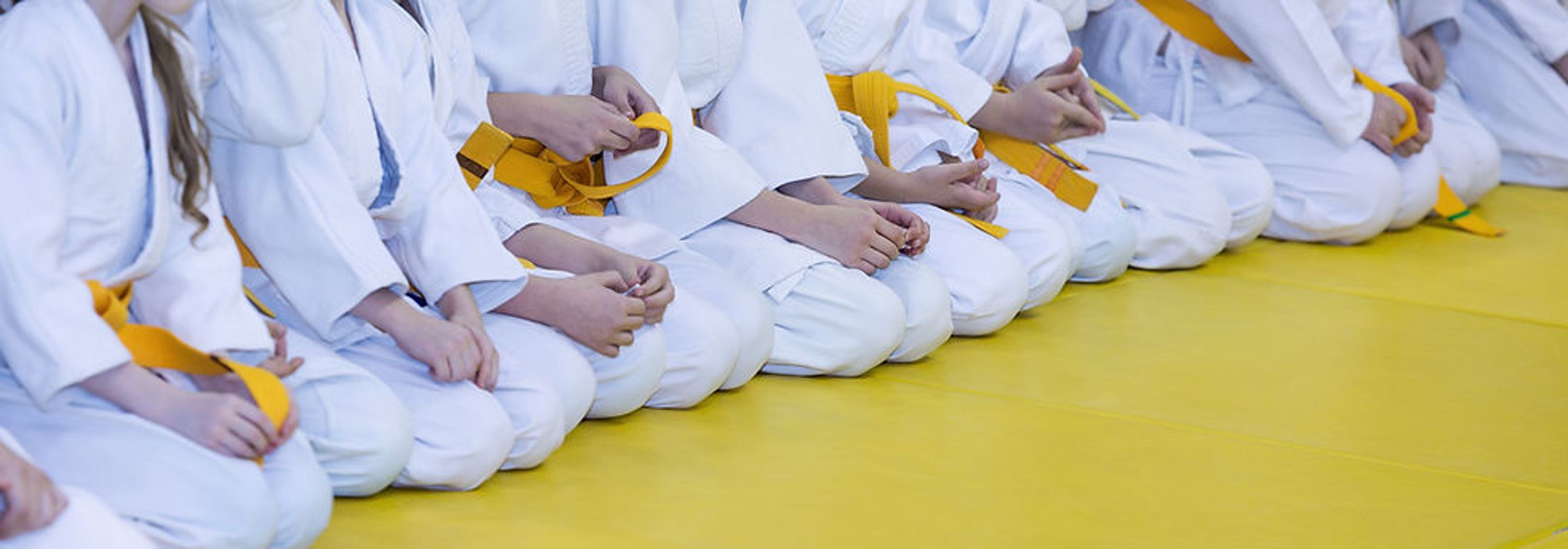 Champion Taekwondo Classes Registration