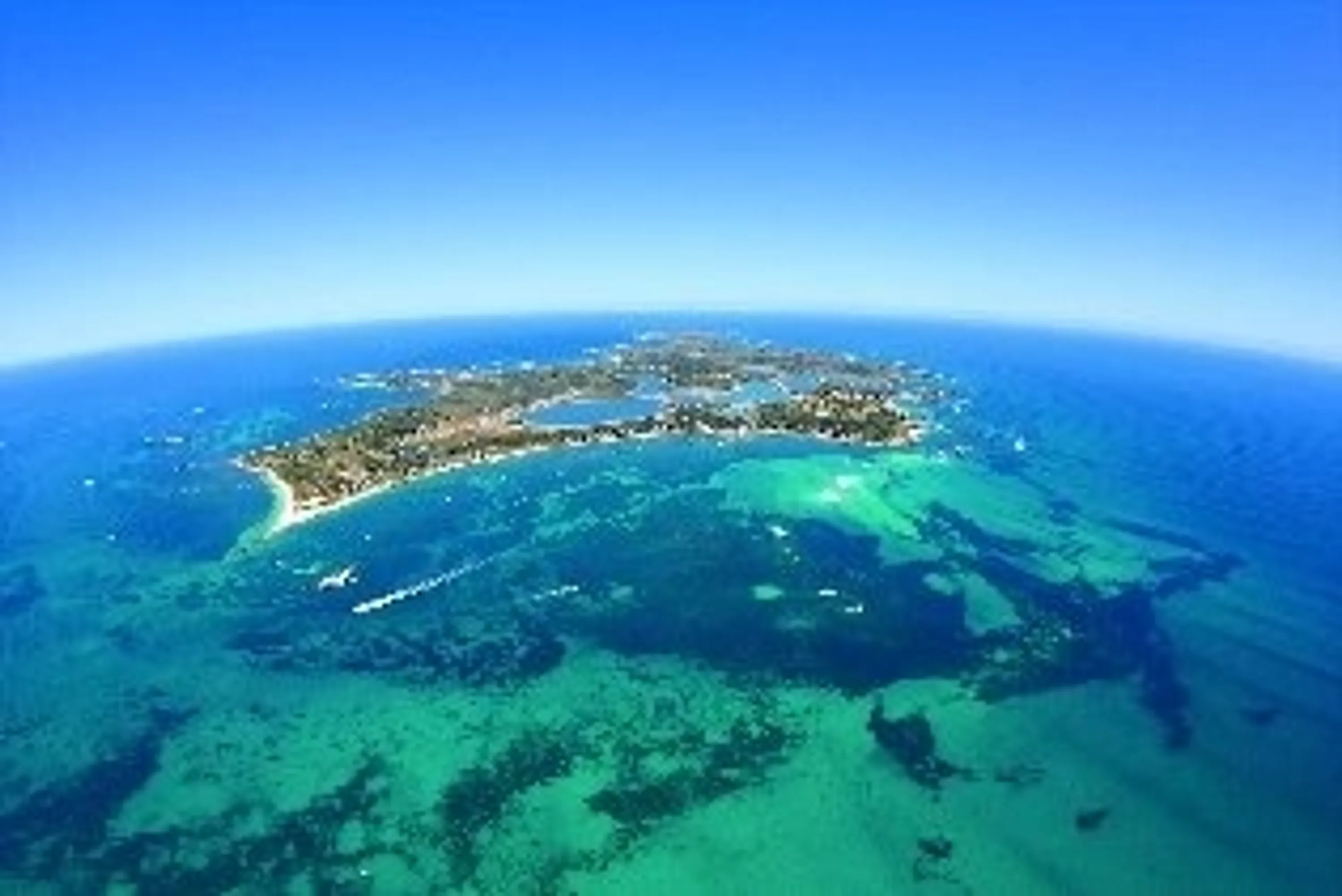 Rottnest Island Double Boat Dive