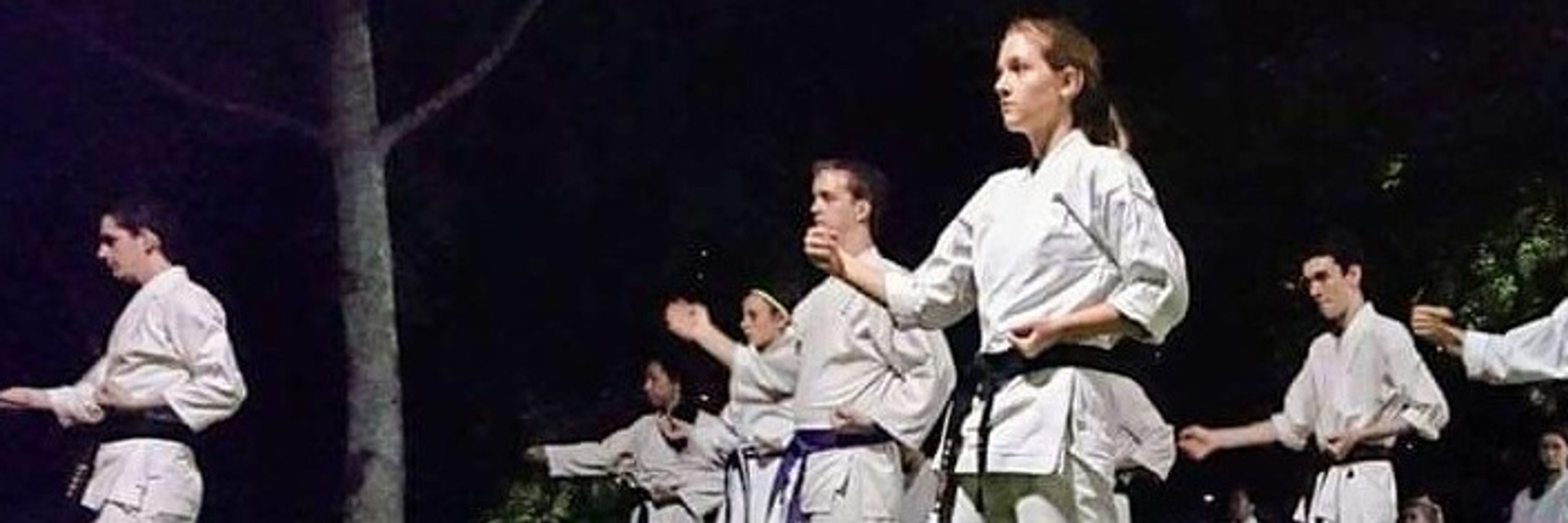 Karate Training
