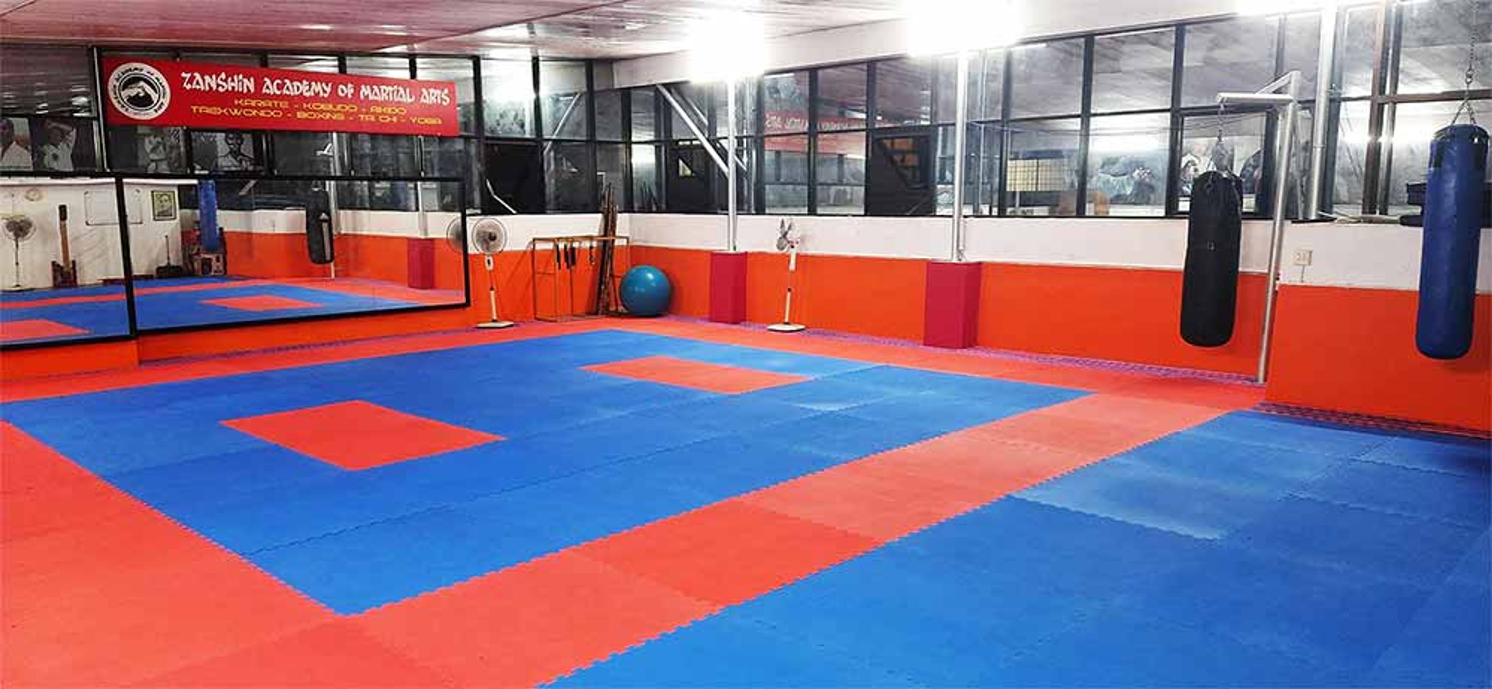 Zanshin Academy of Martial Arts