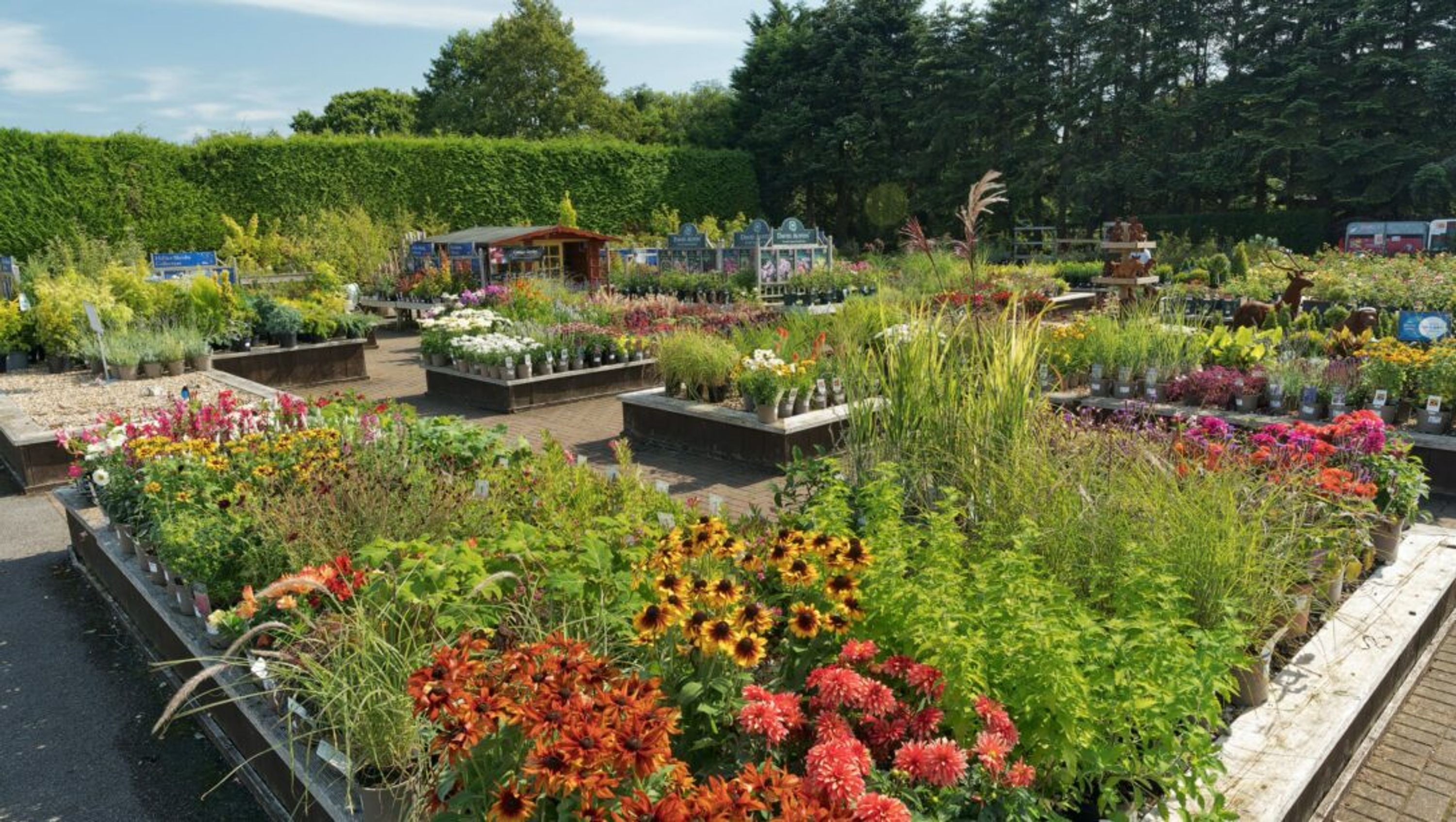 Hillier Garden Centre Cheddar