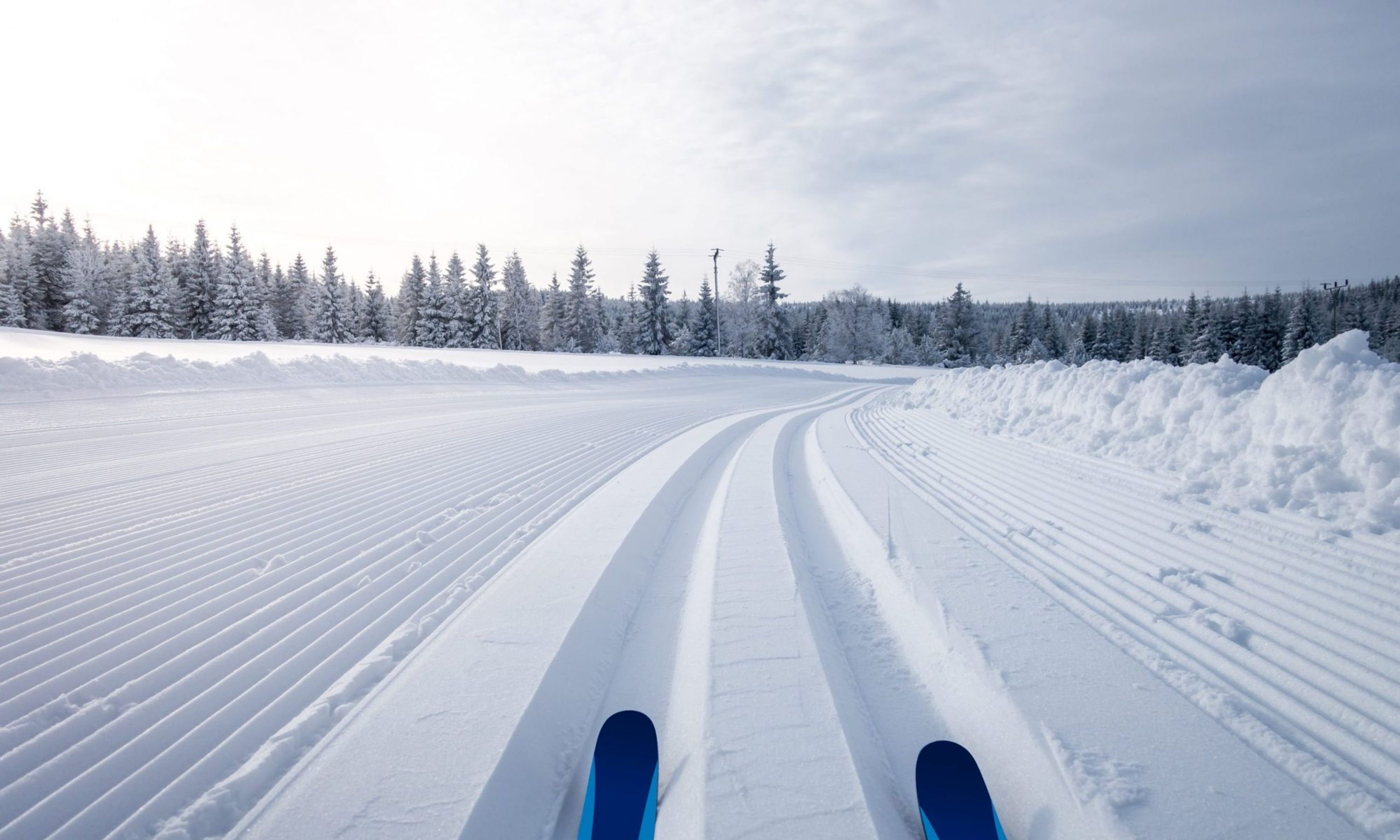 Ski de Fond Stoneham