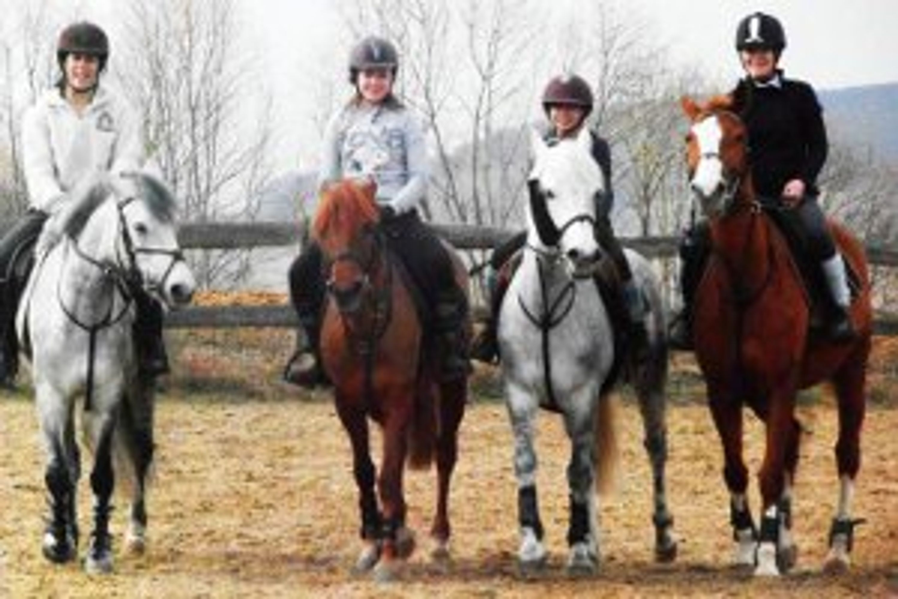 ECURIES DU MONT HUBERT