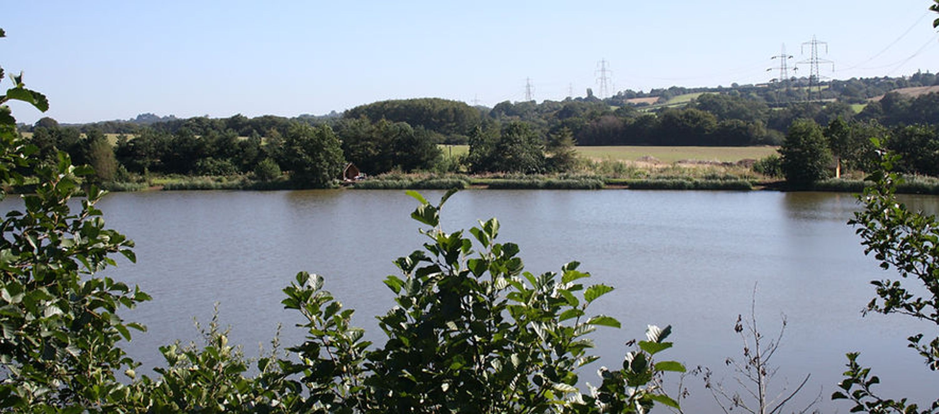 Cefn Mably Lakes
