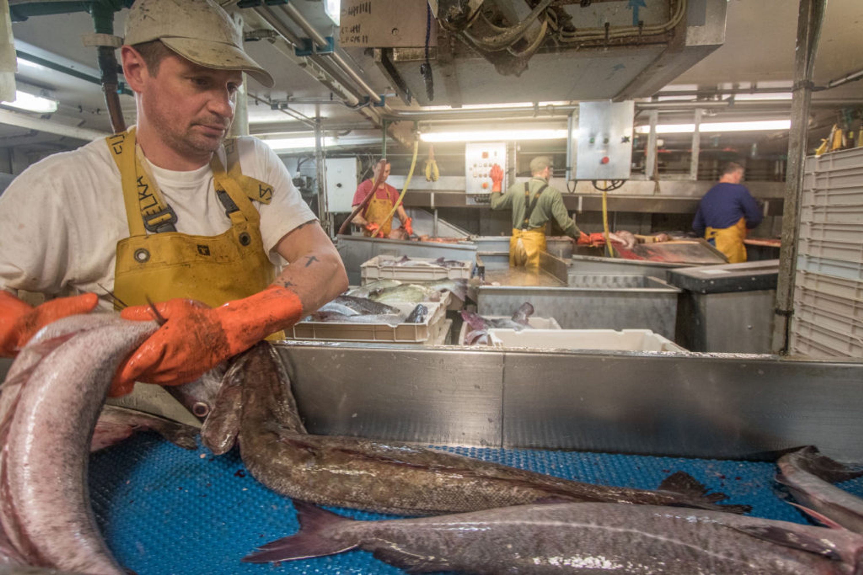 Comptoir des Pêches d'Europe du Nord - Euronor