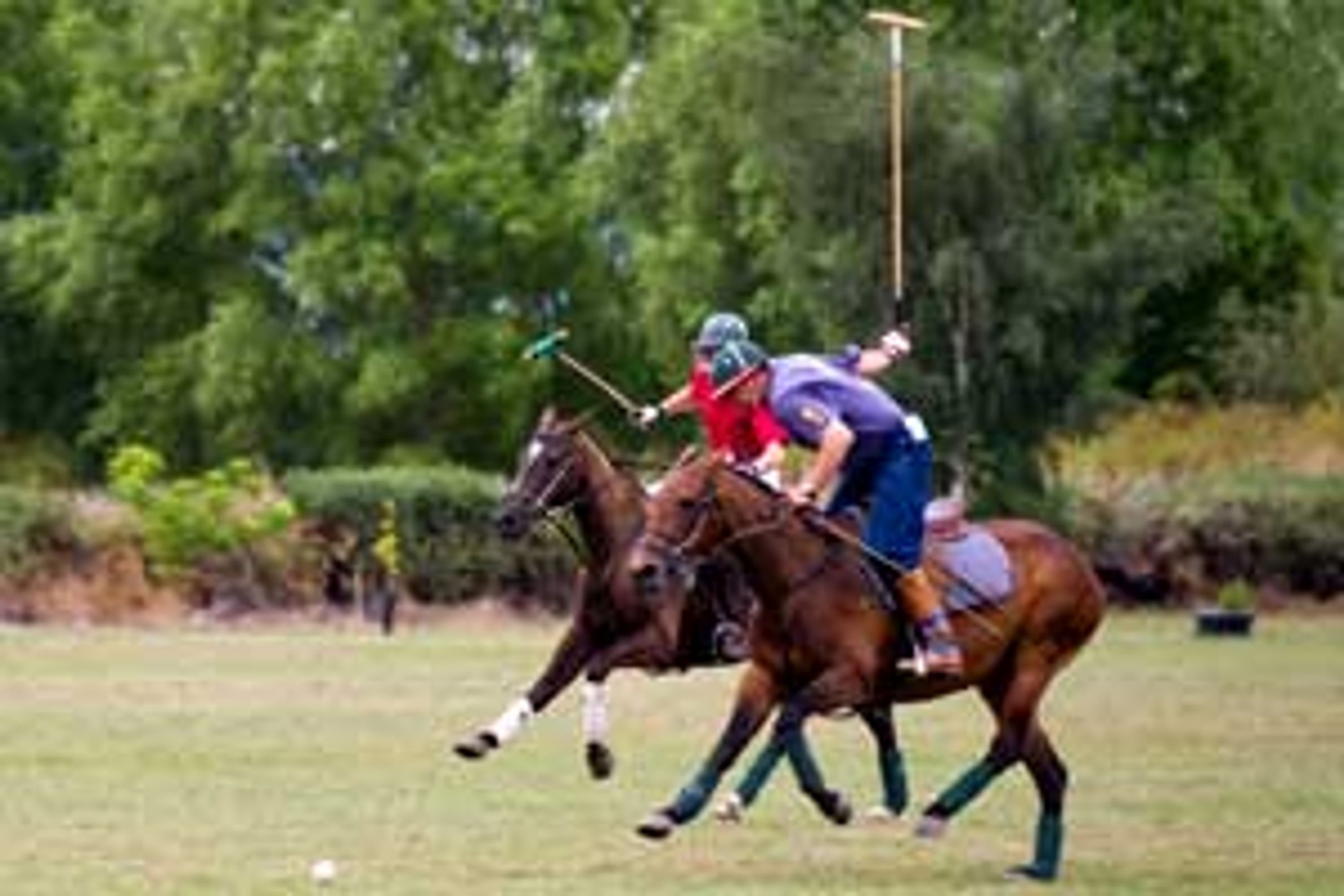 Gap Year Polo