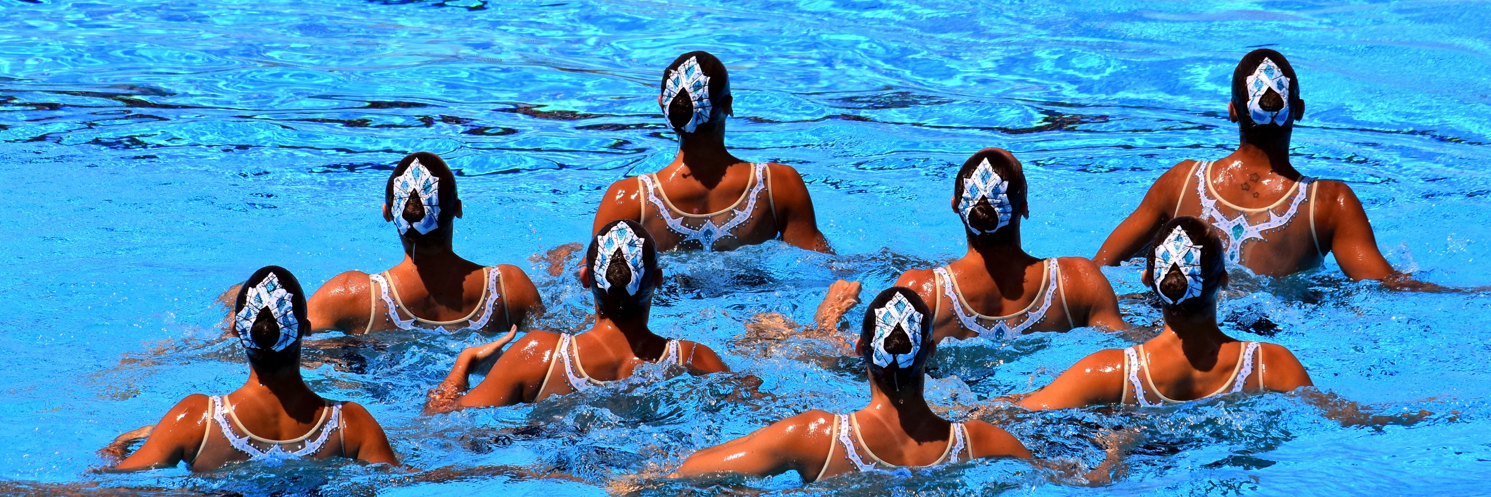 Synchro WA
