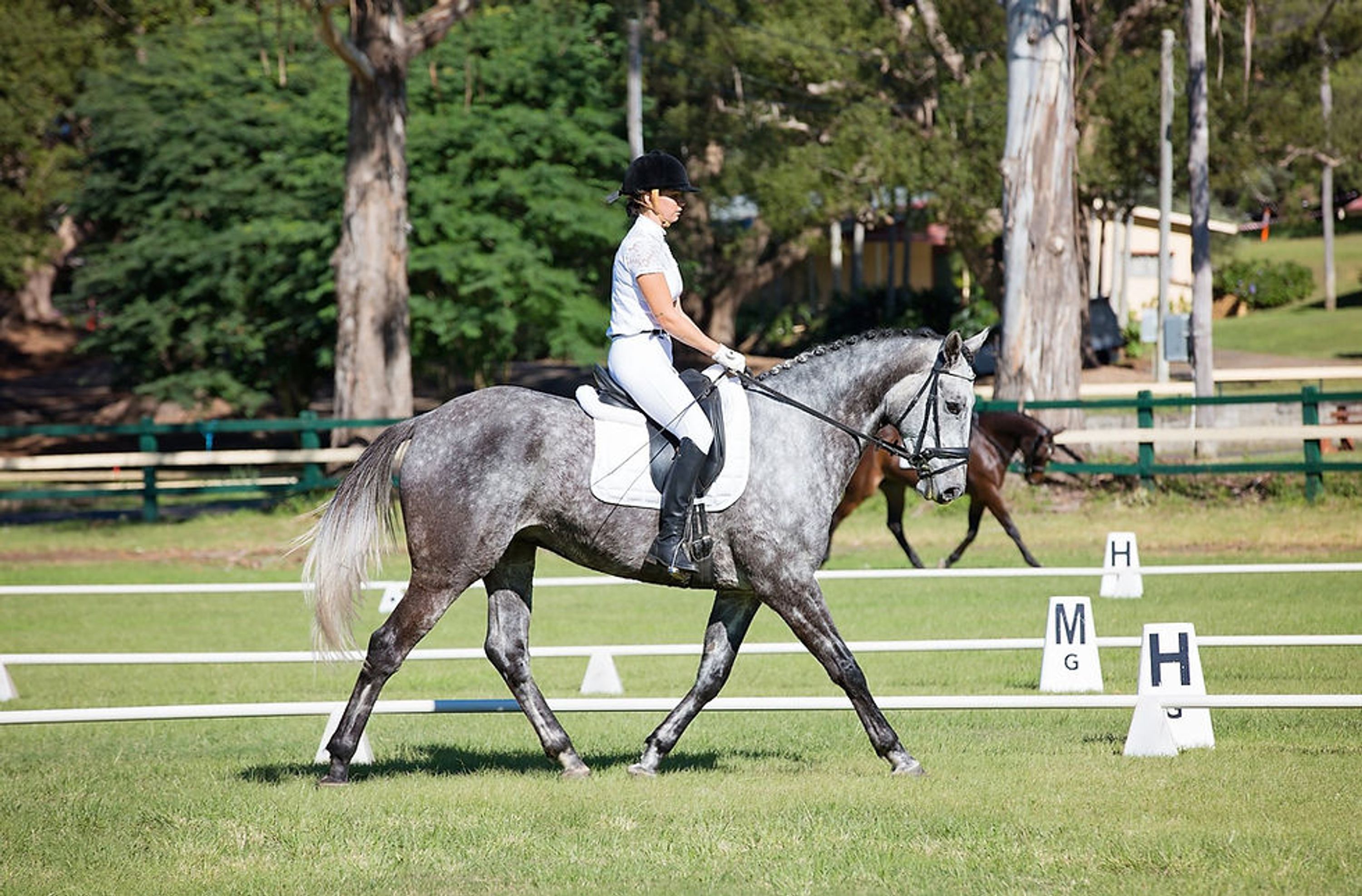Godwin Equestrian