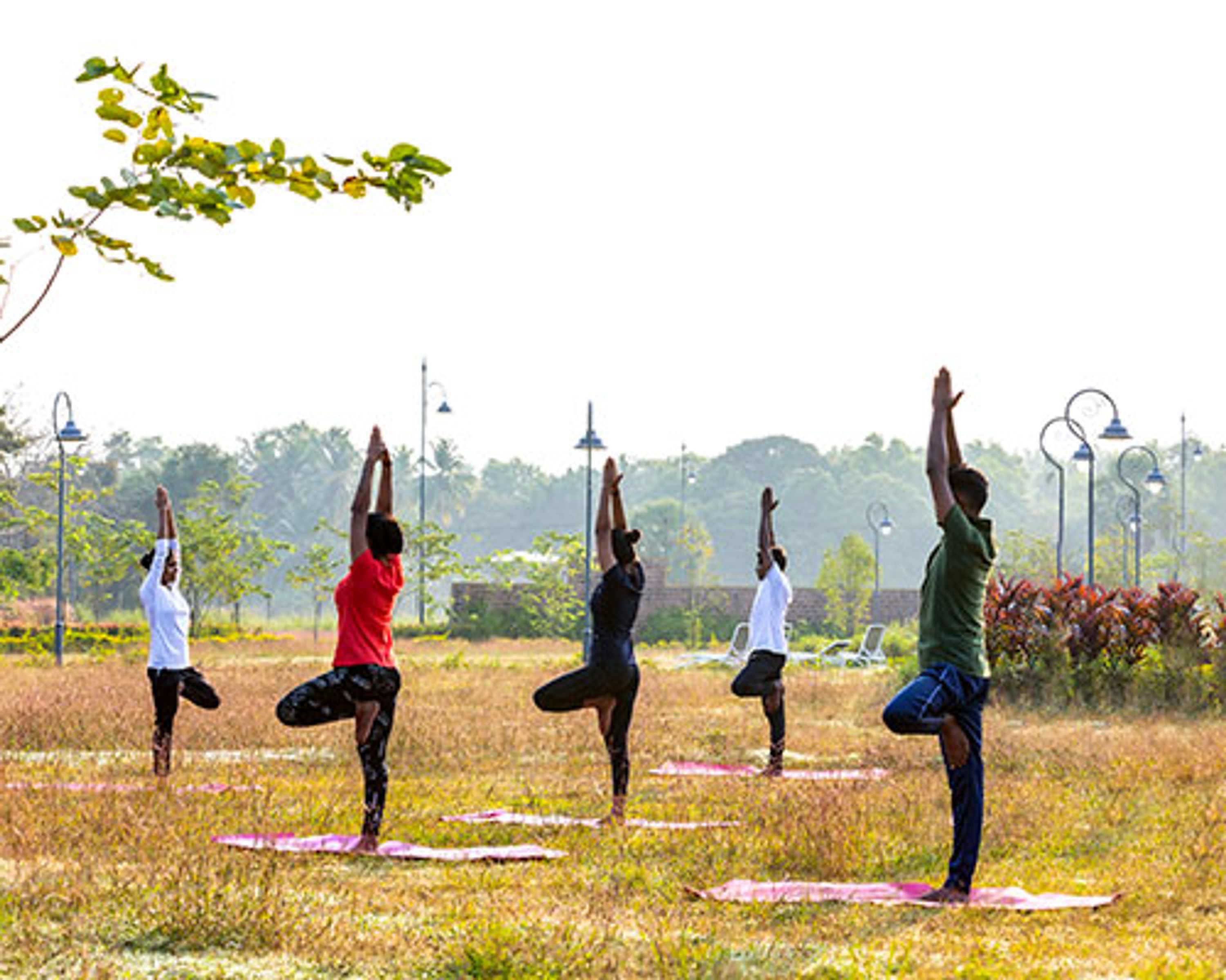 S.H.R.F Yogabana