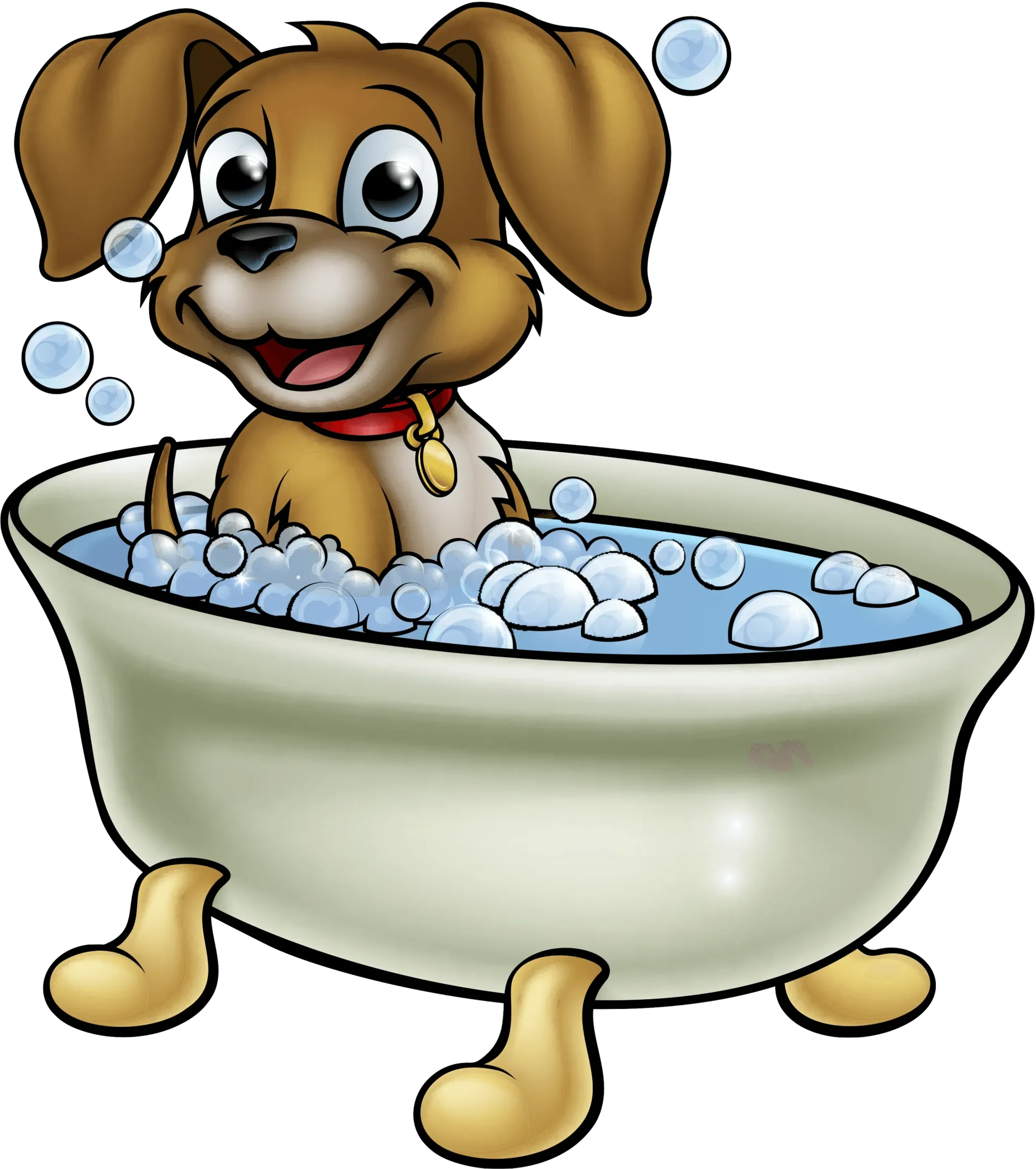 Kennels Dog Kennels