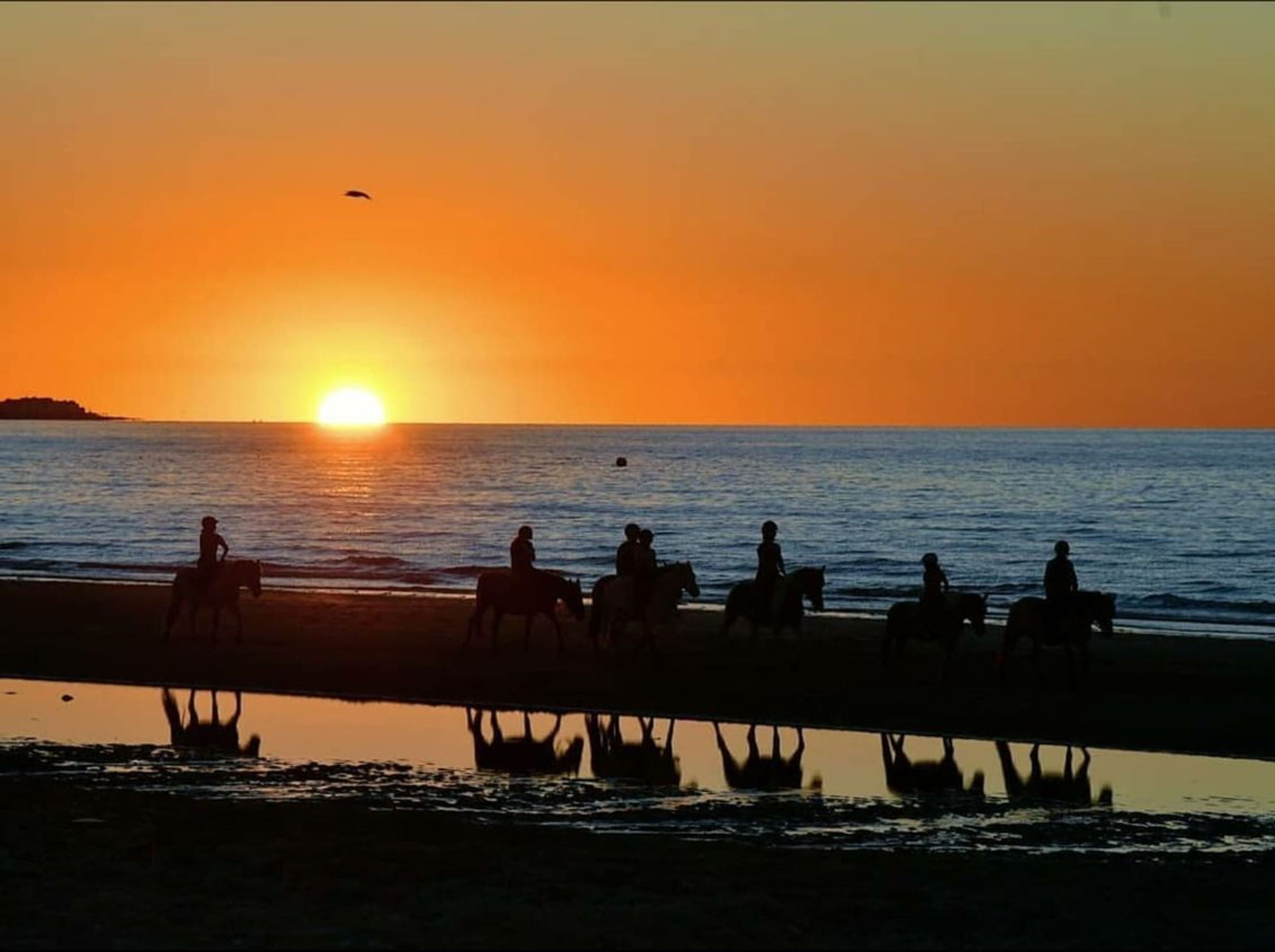 Etrier De La Plage