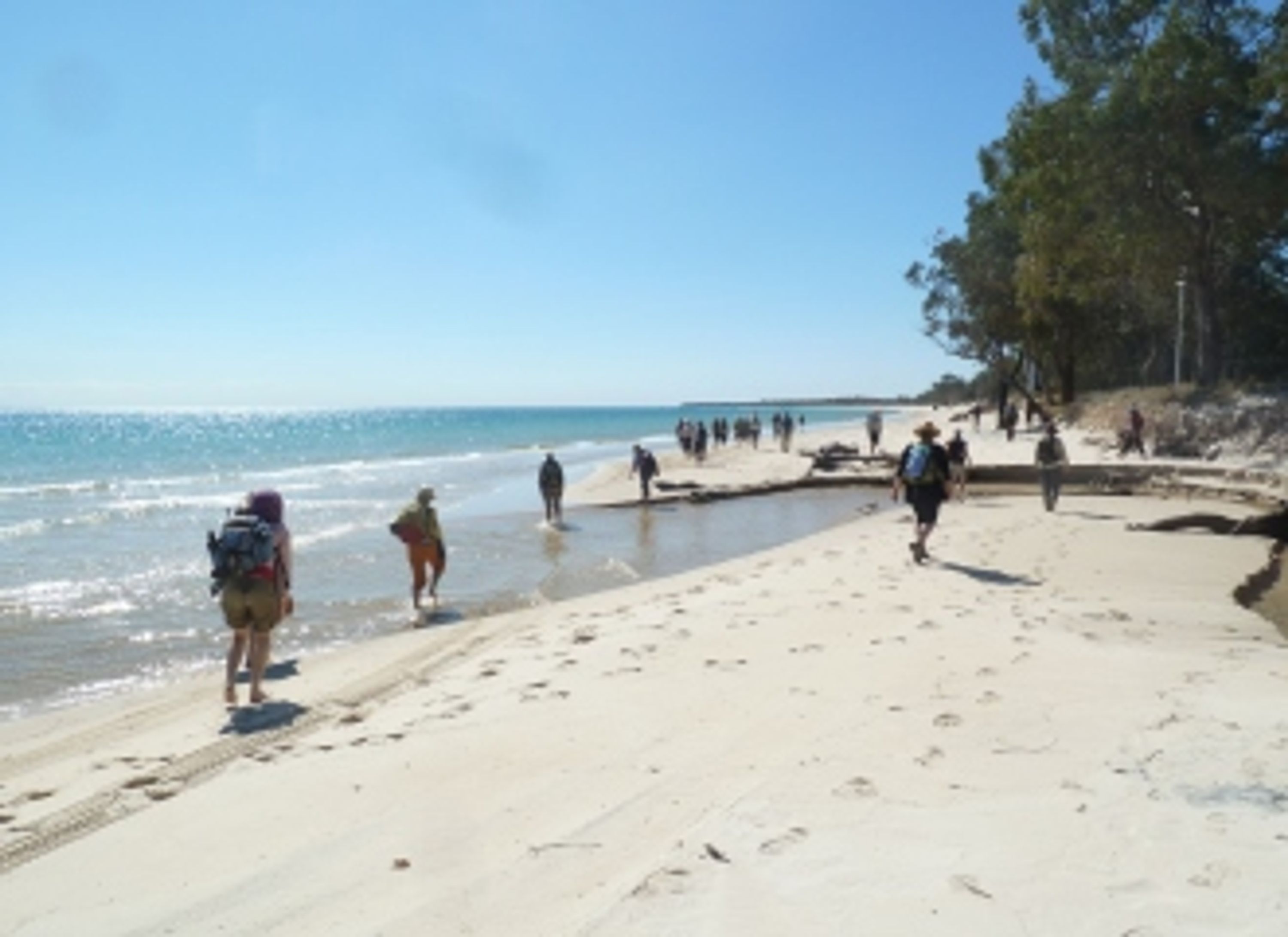 2024 New Zealand Yatra - Abel Tasman NP