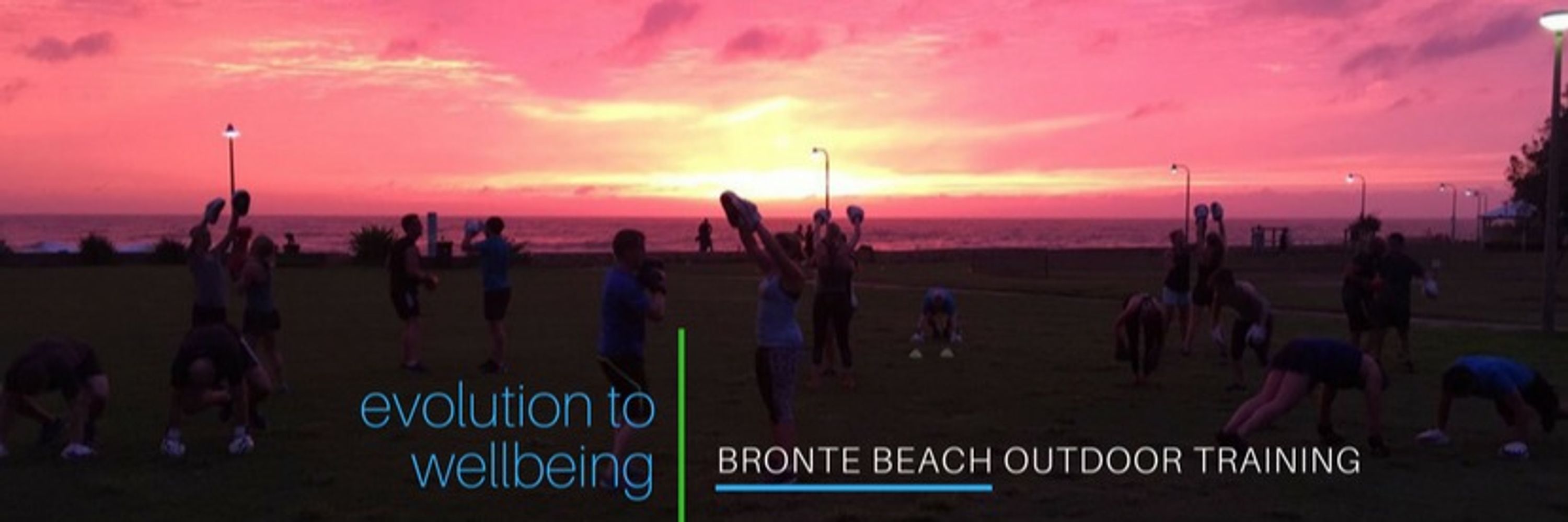 Evolution To Wellbeing - Bronte