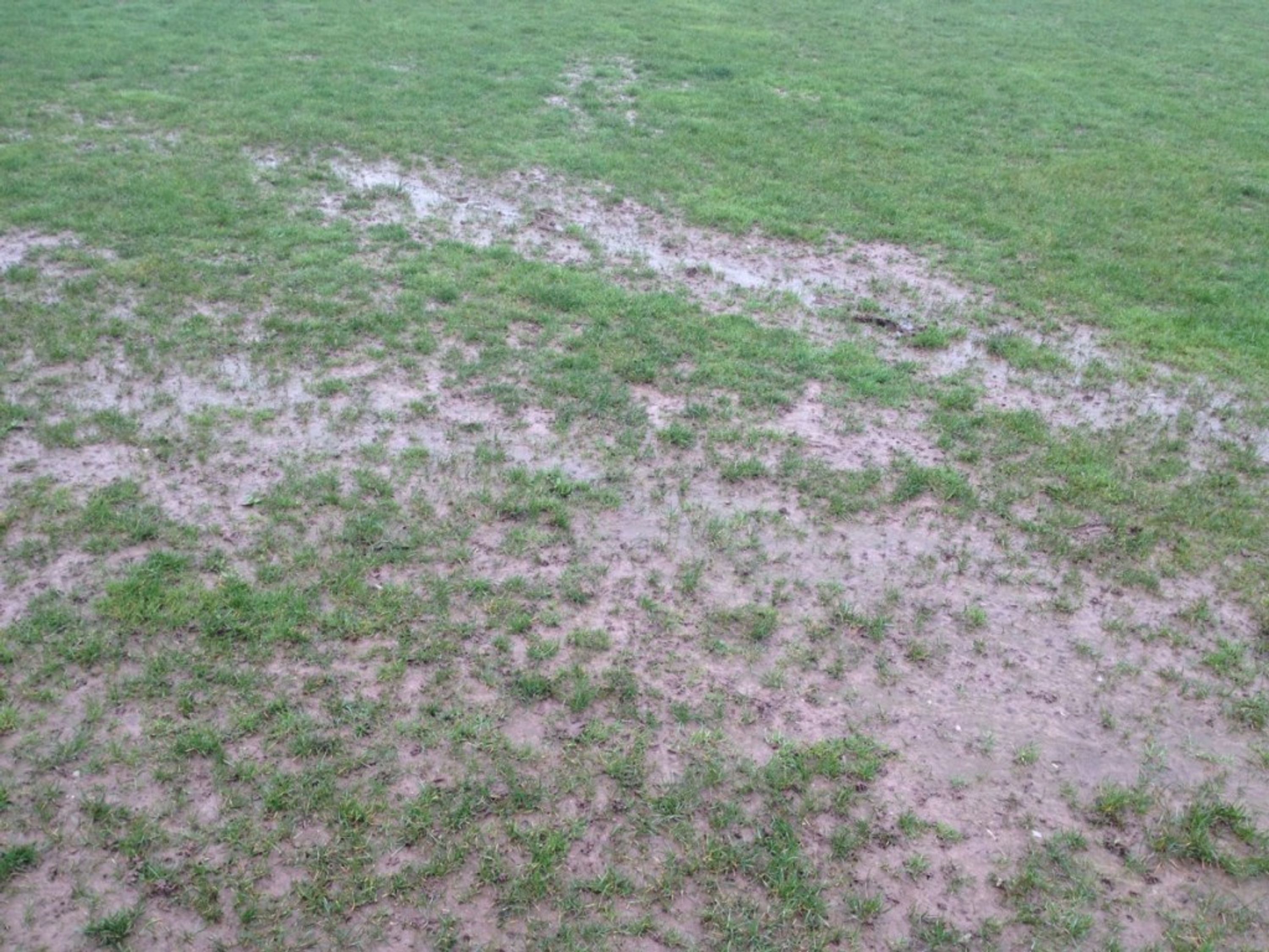 Skehanagh Park