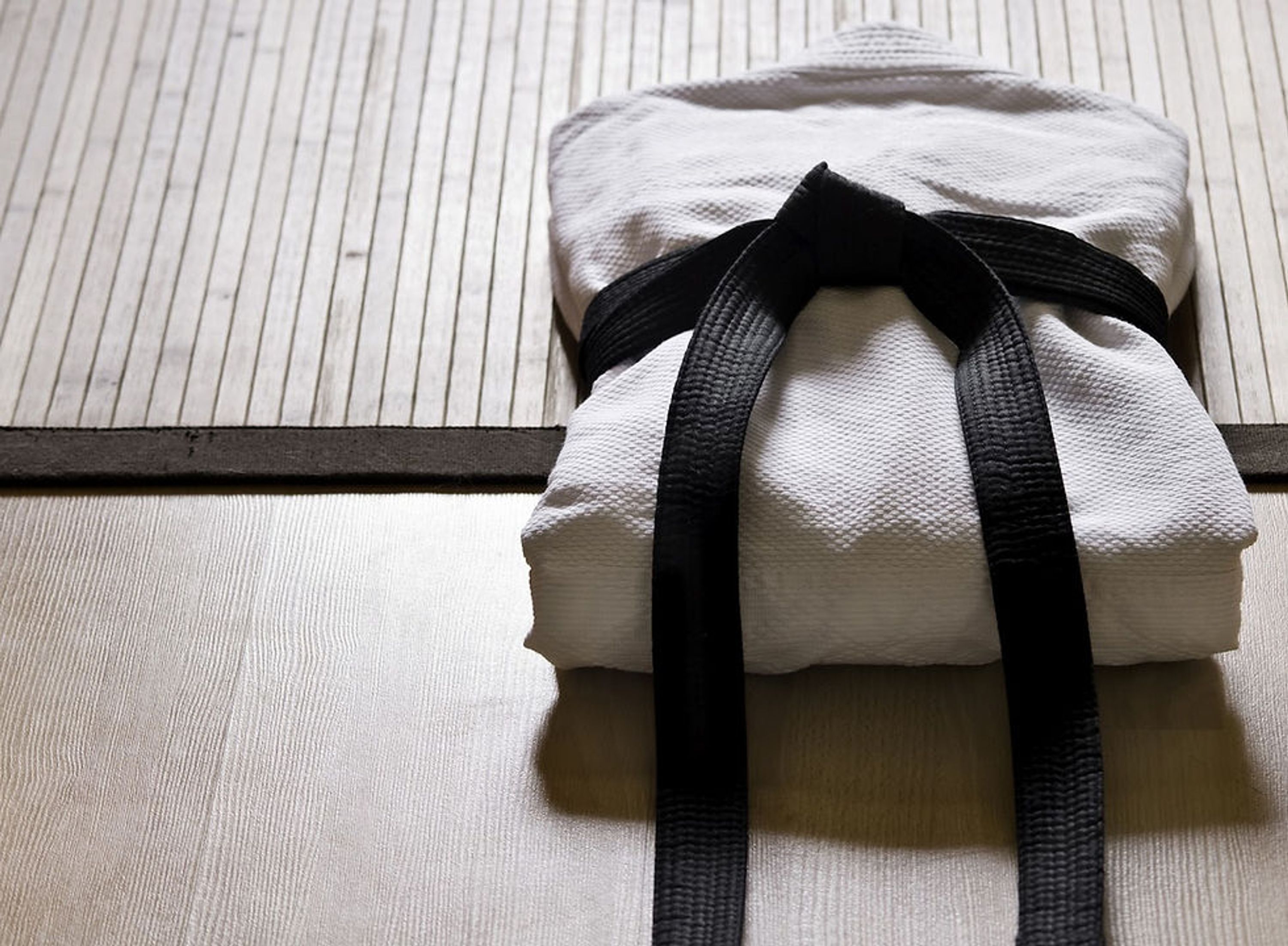 School Of Judo