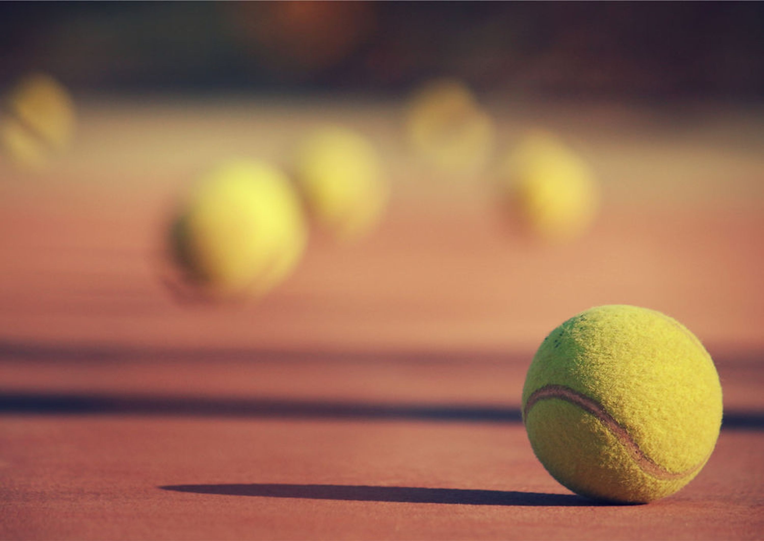 New Zone Tennis