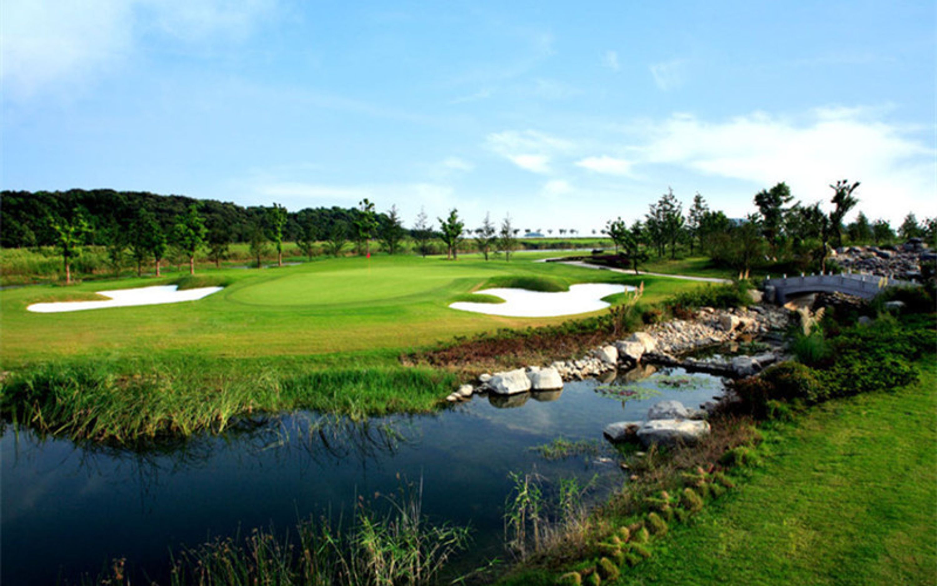 STATUS GOLF