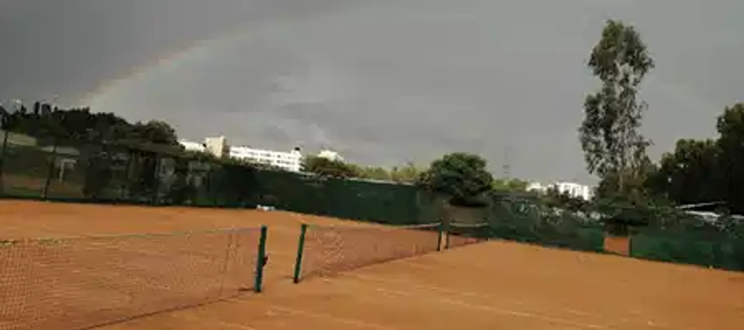 MPR Cricket Academy