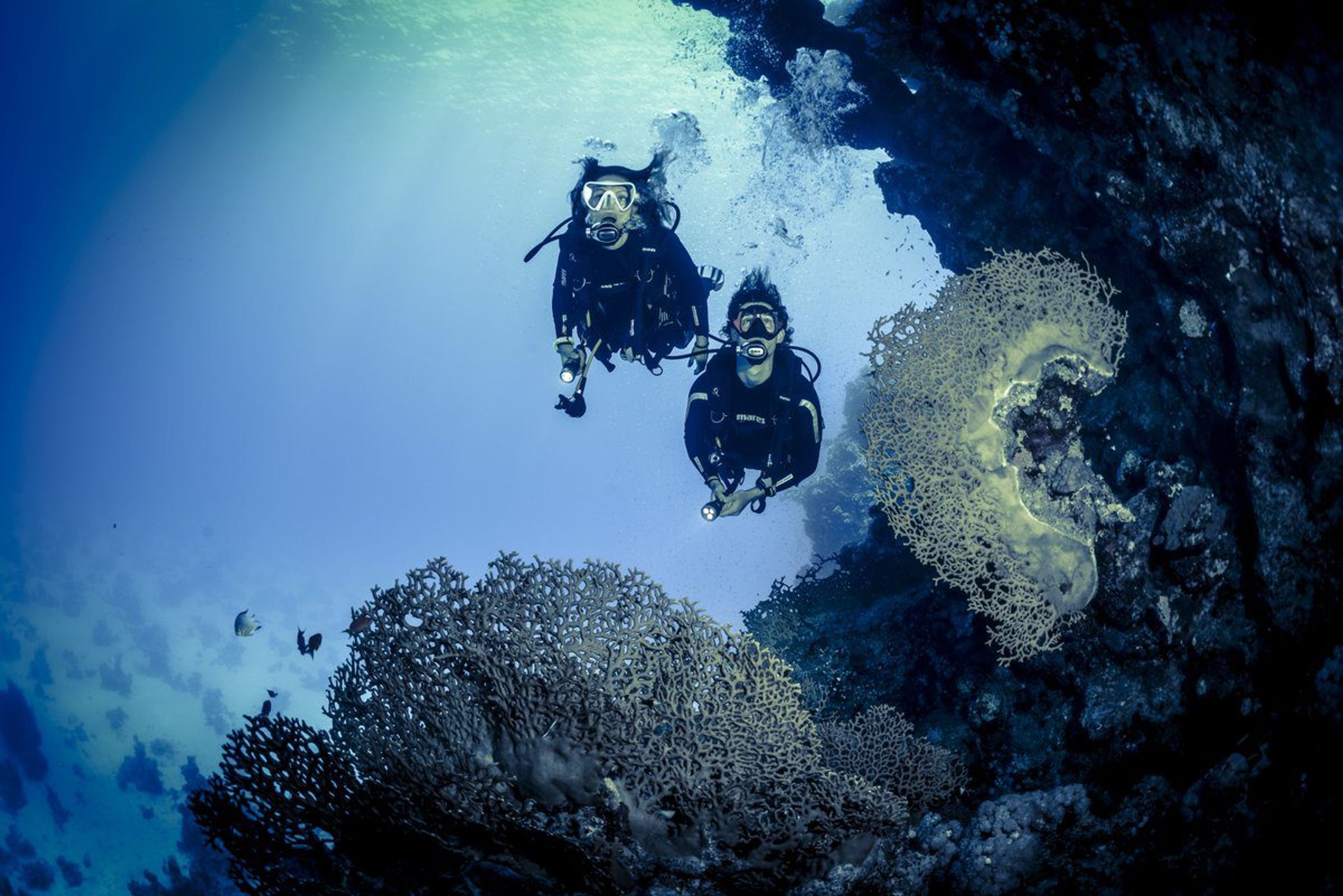 Seahawks SCUBA | Scuba diving in Havelock | Scuba diving in Andaman