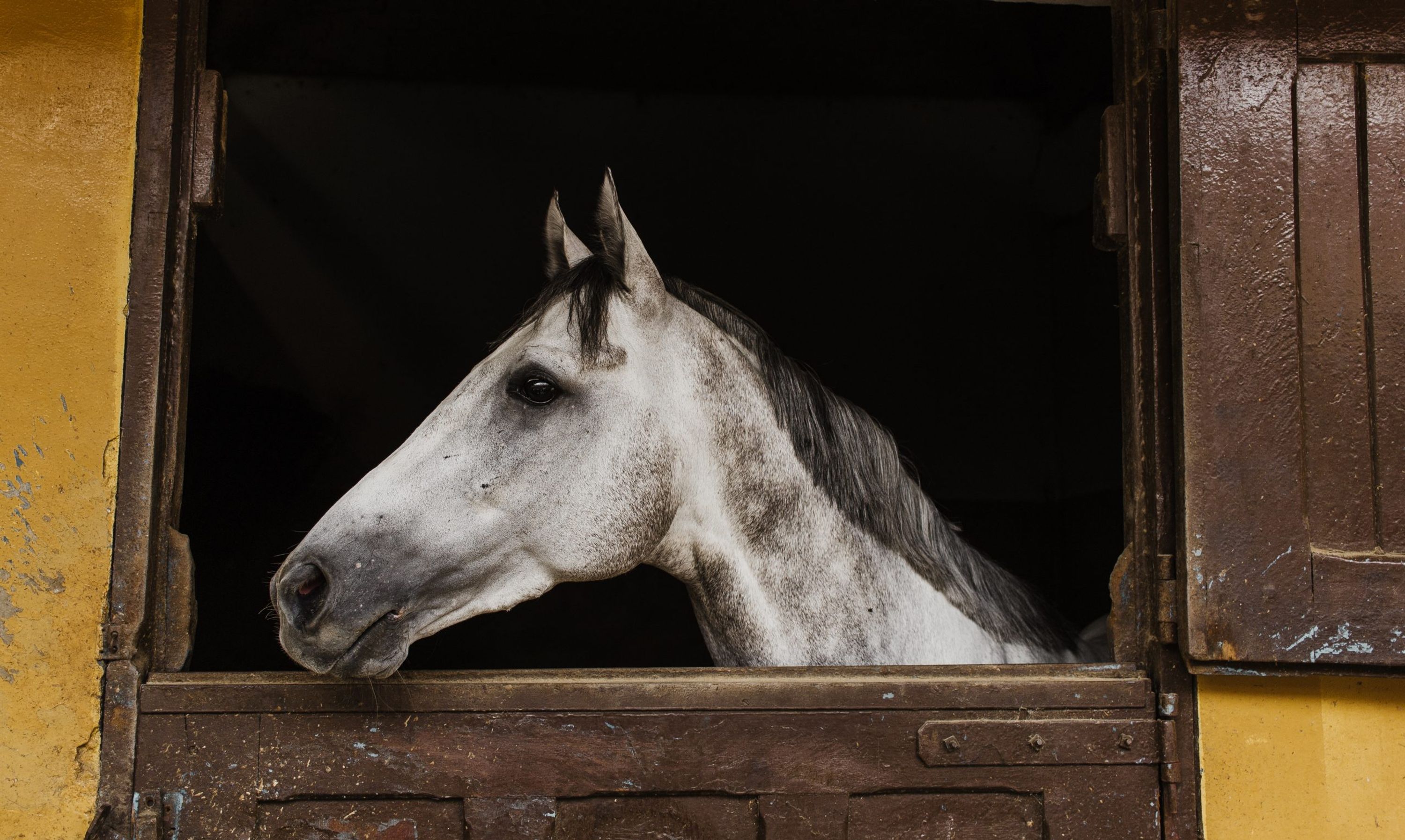 Equestrian Center De Hauterives