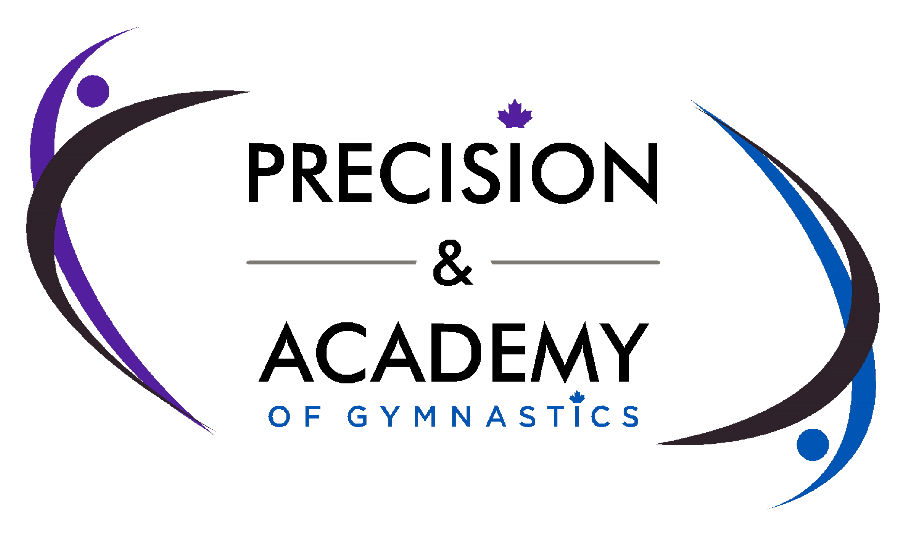 Precision Gymnastics Association (Wetaskiwin & District Gymnastics Club)