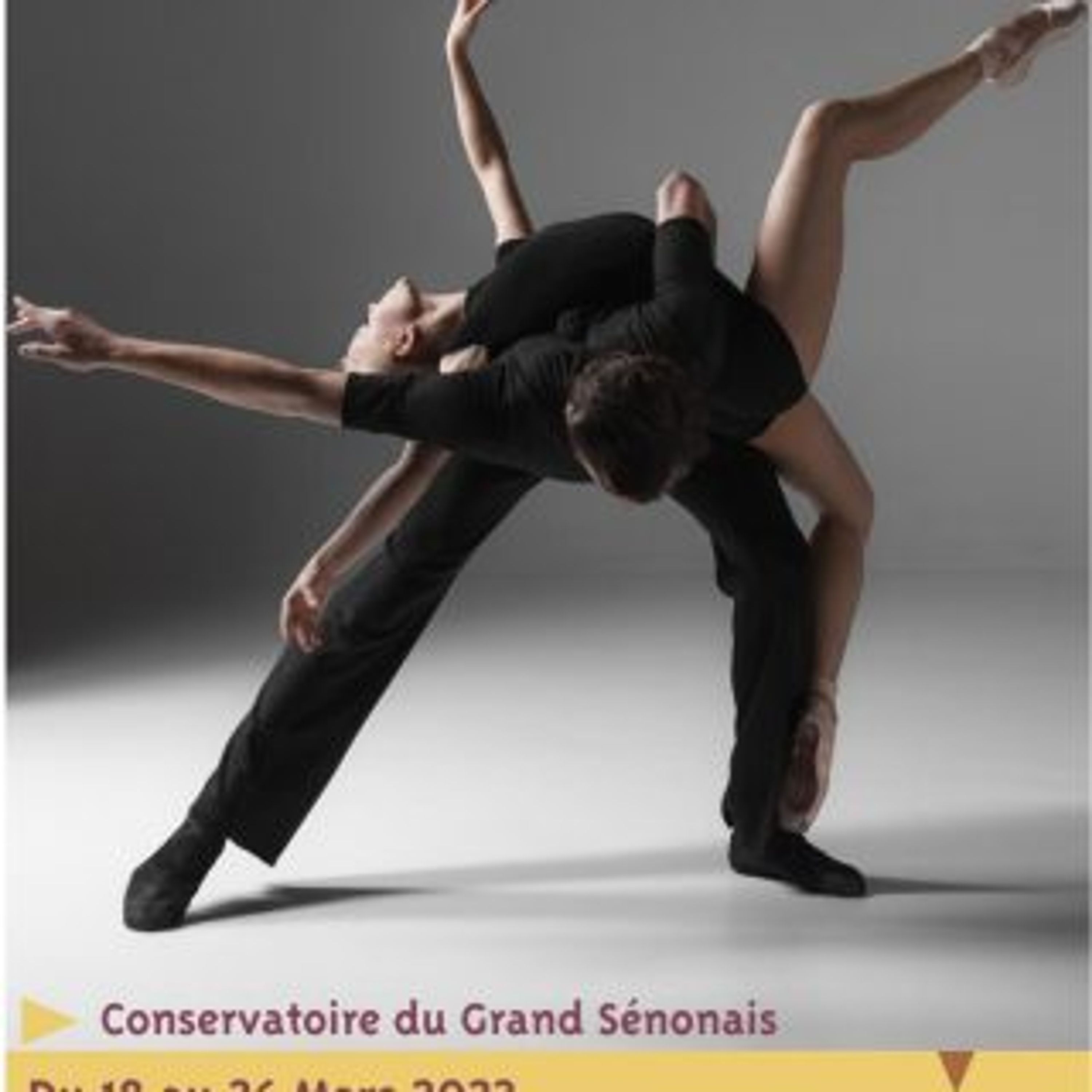 Conservatory Du Grand Sénonais