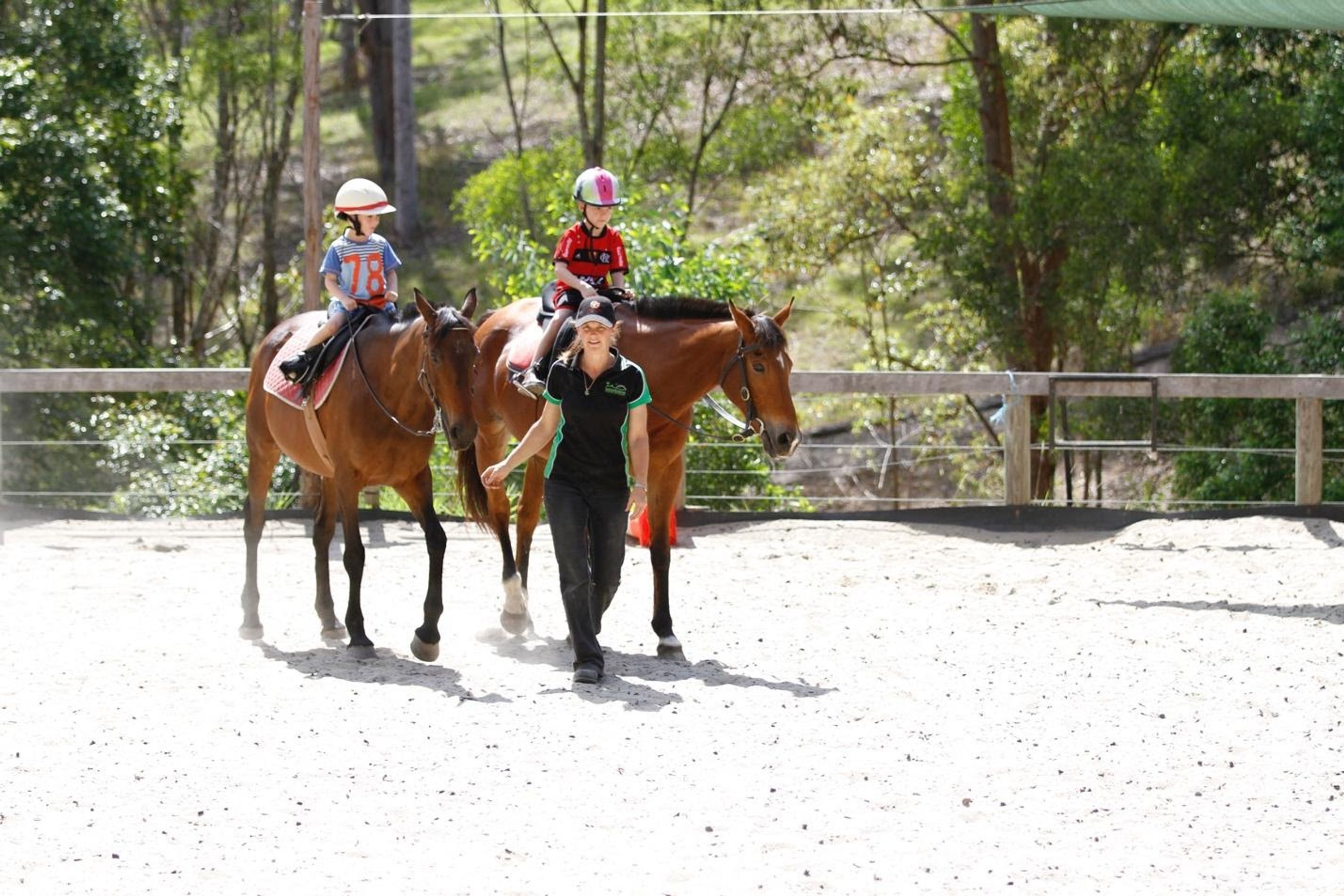 Horse Riding Hub - Beginner Horse Rider Education Specialist
